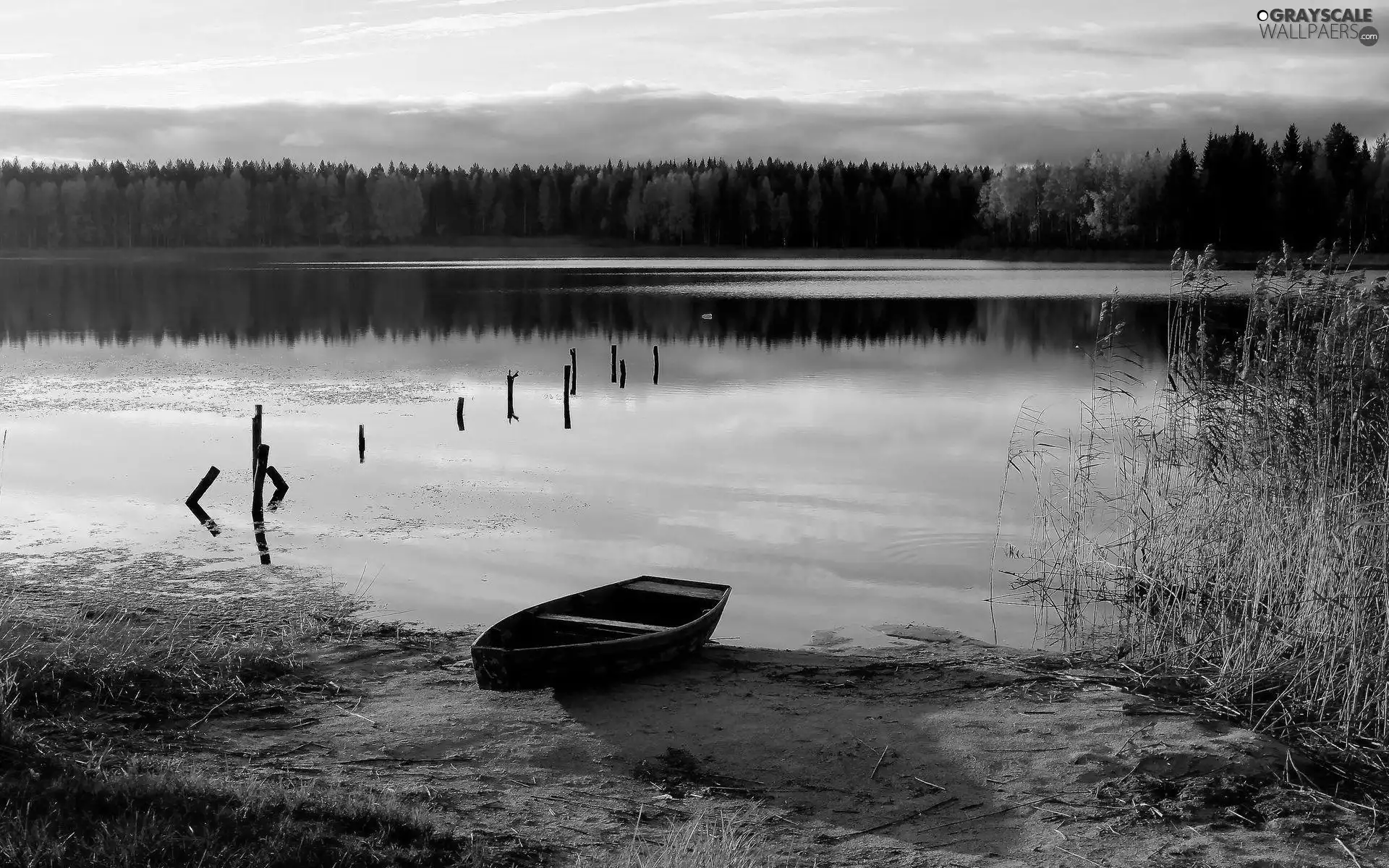 Boat, woods, autumn, lake