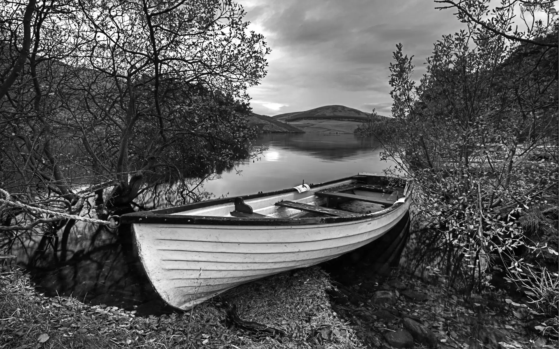 lake, Boat, autumn, branch pics
