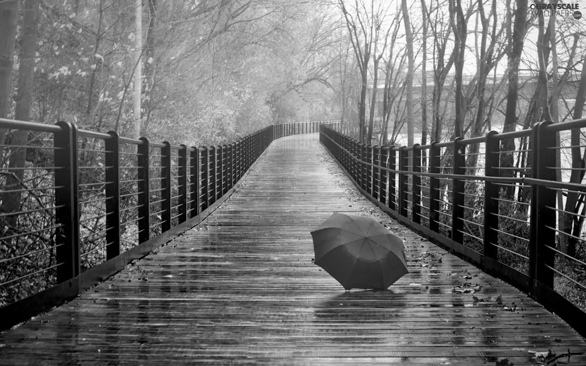 autumn, bridge, Umbrella