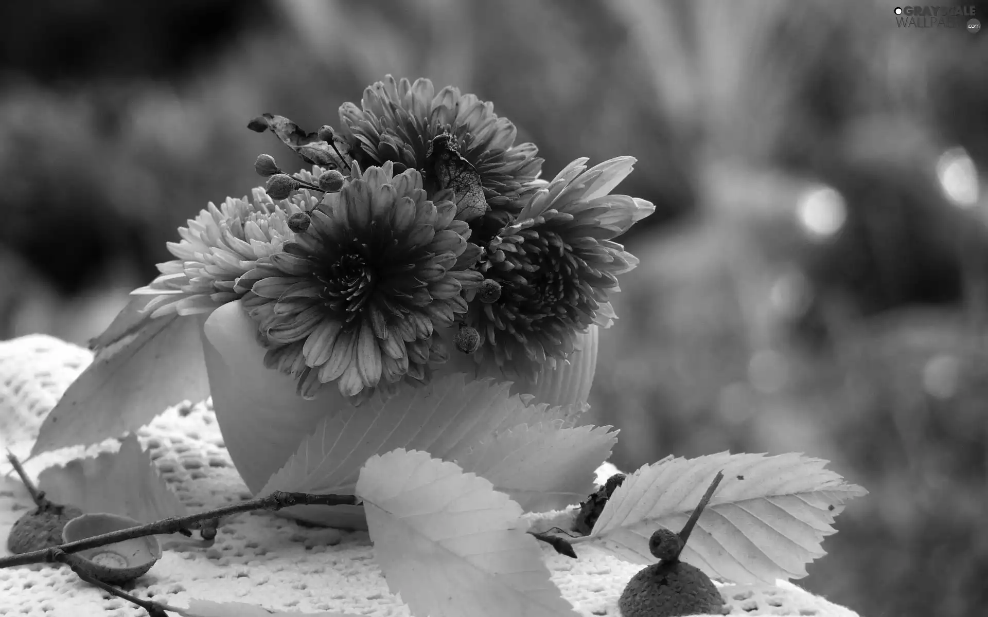 small bunch, twig, autumn, chrysanthemums