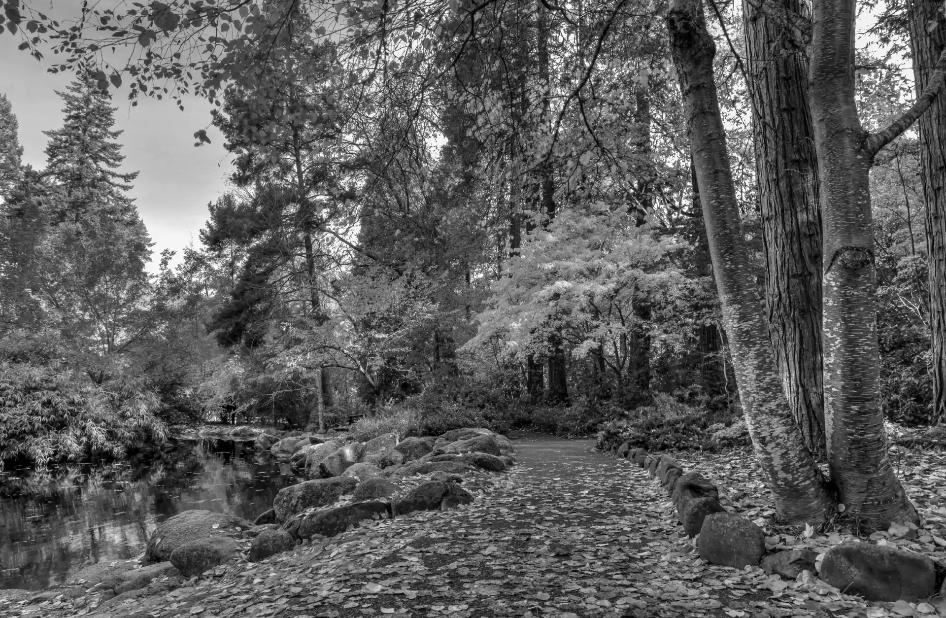 autumn, Pond - car, Leaf, Stones, viewes, lane, Park, trees