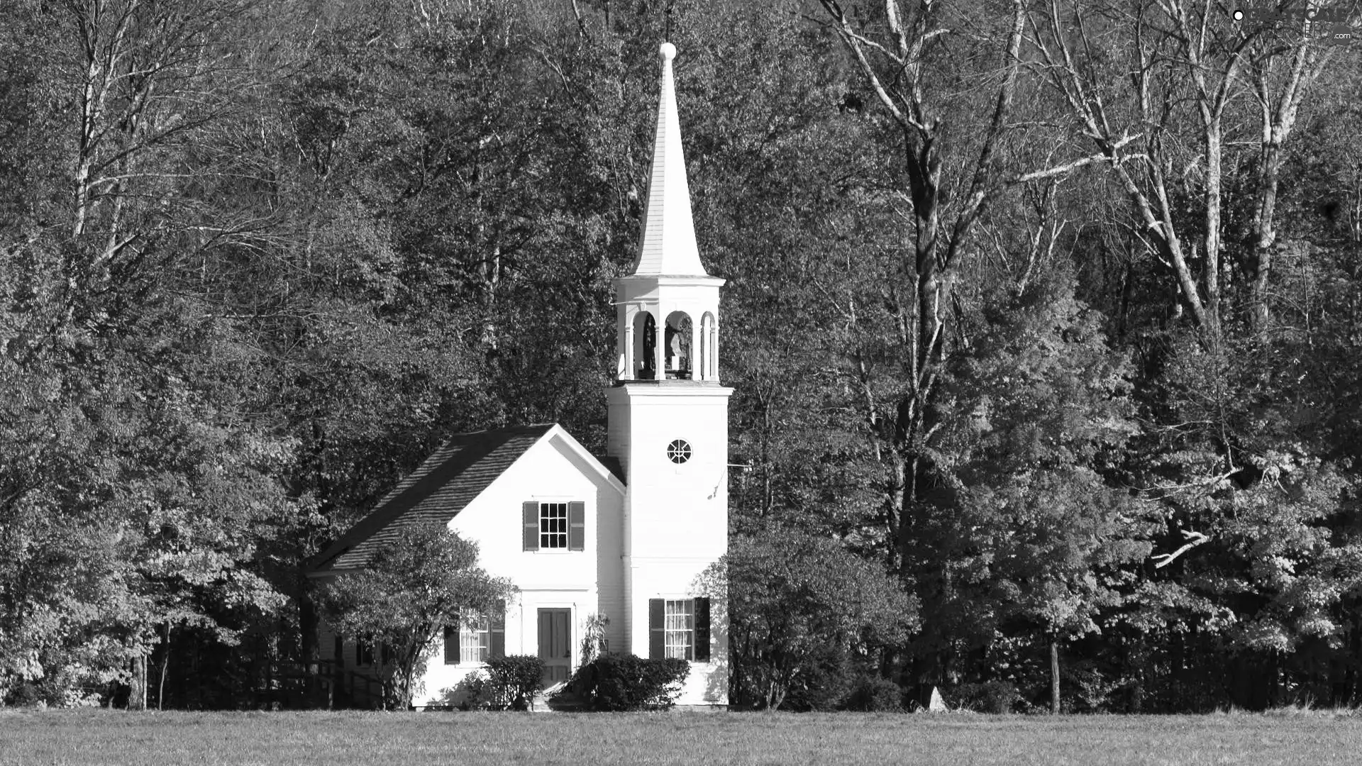 church, viewes, autumn, trees