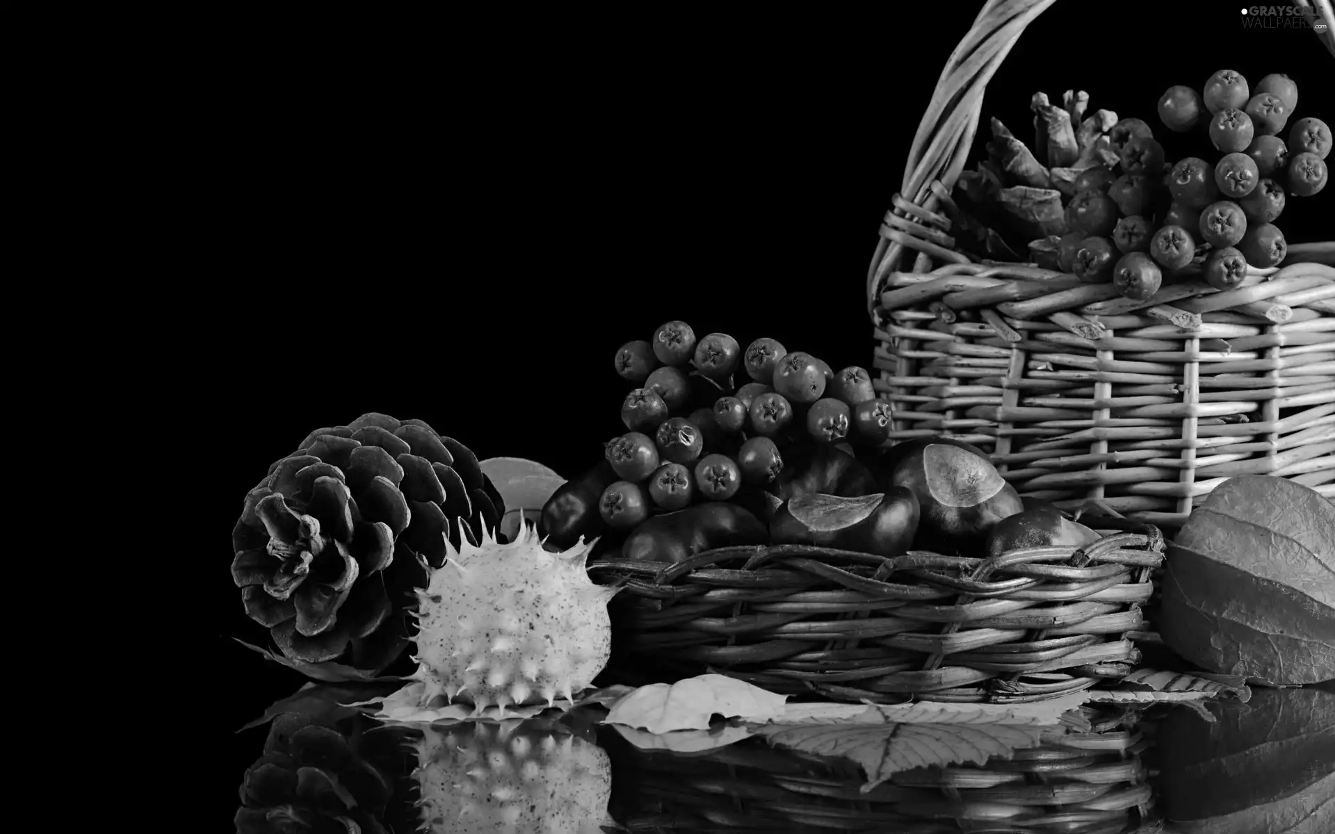 Baskets, Plant, harvest, cones, chestnuts, Autumn, composition