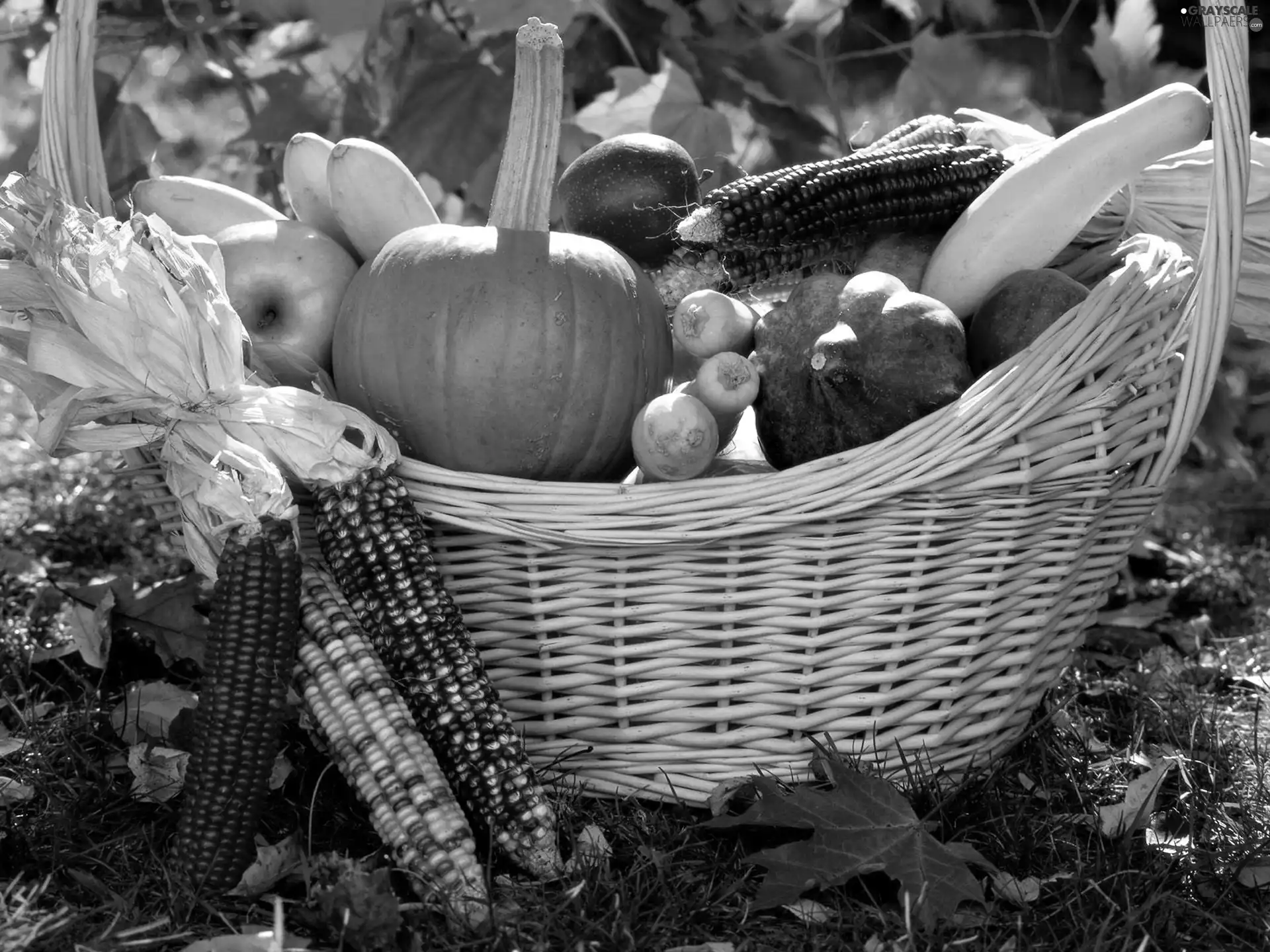 Donations, autumn