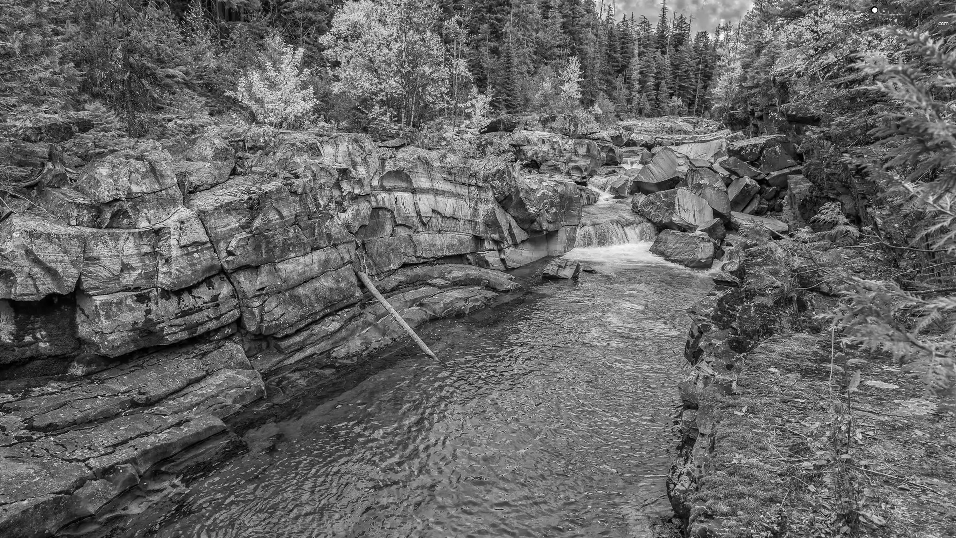 forest, rocks, River, autumn