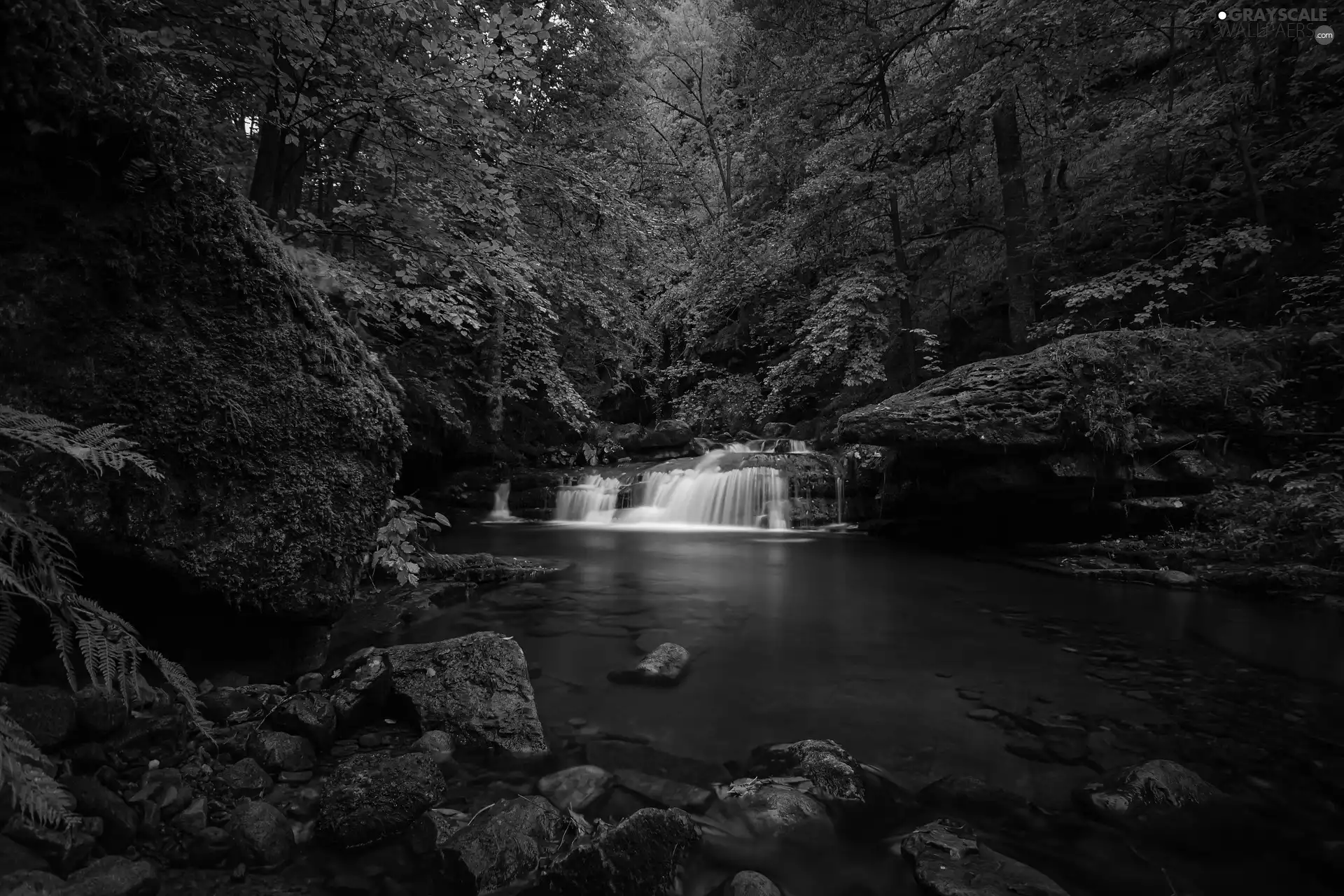 trees, River, rocks, autumn, viewes, forest