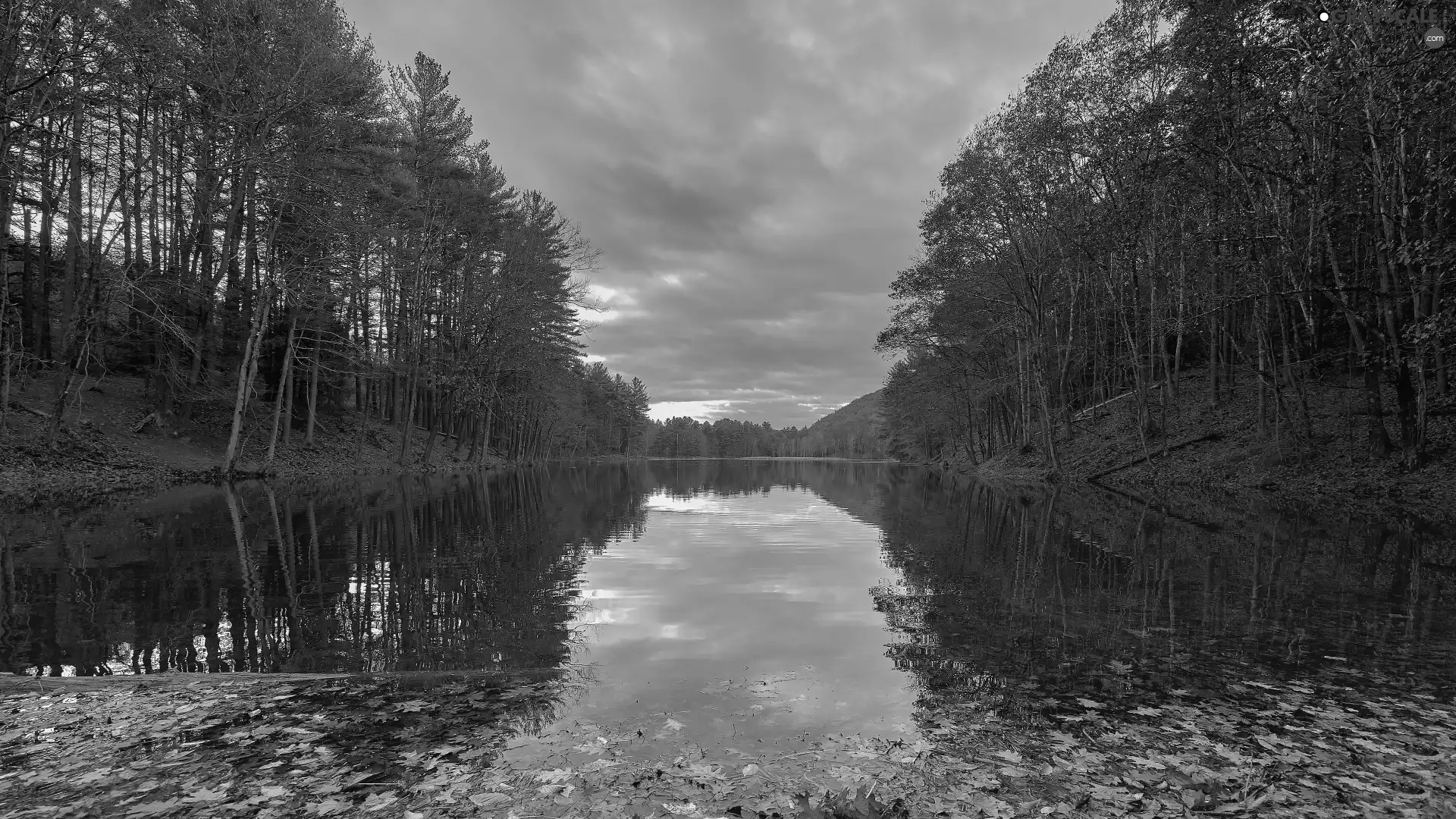 trees, lake, Slopes, autumn, viewes, forest
