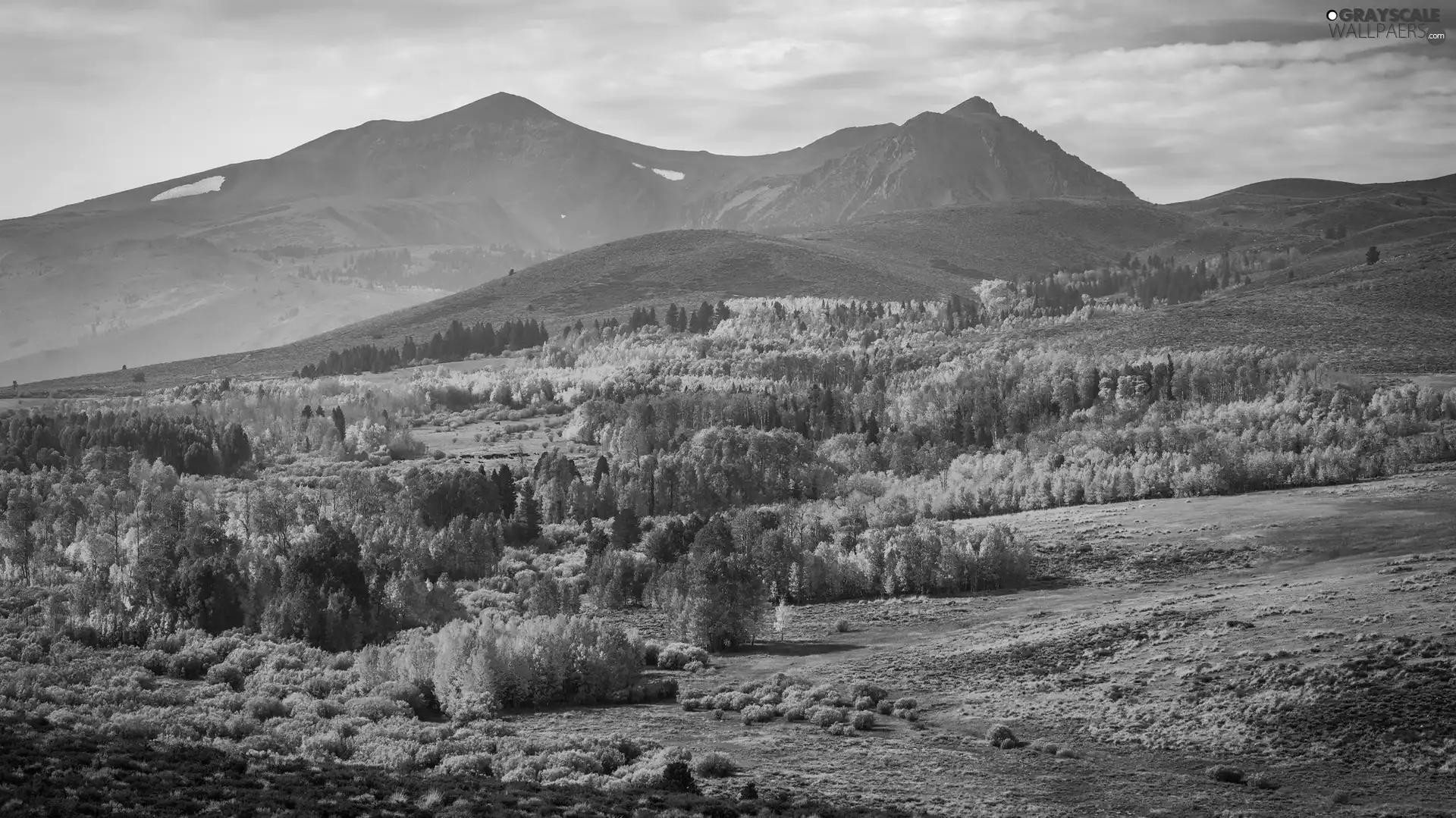 viewes, car in the meadow, Mountains, trees, autumn
