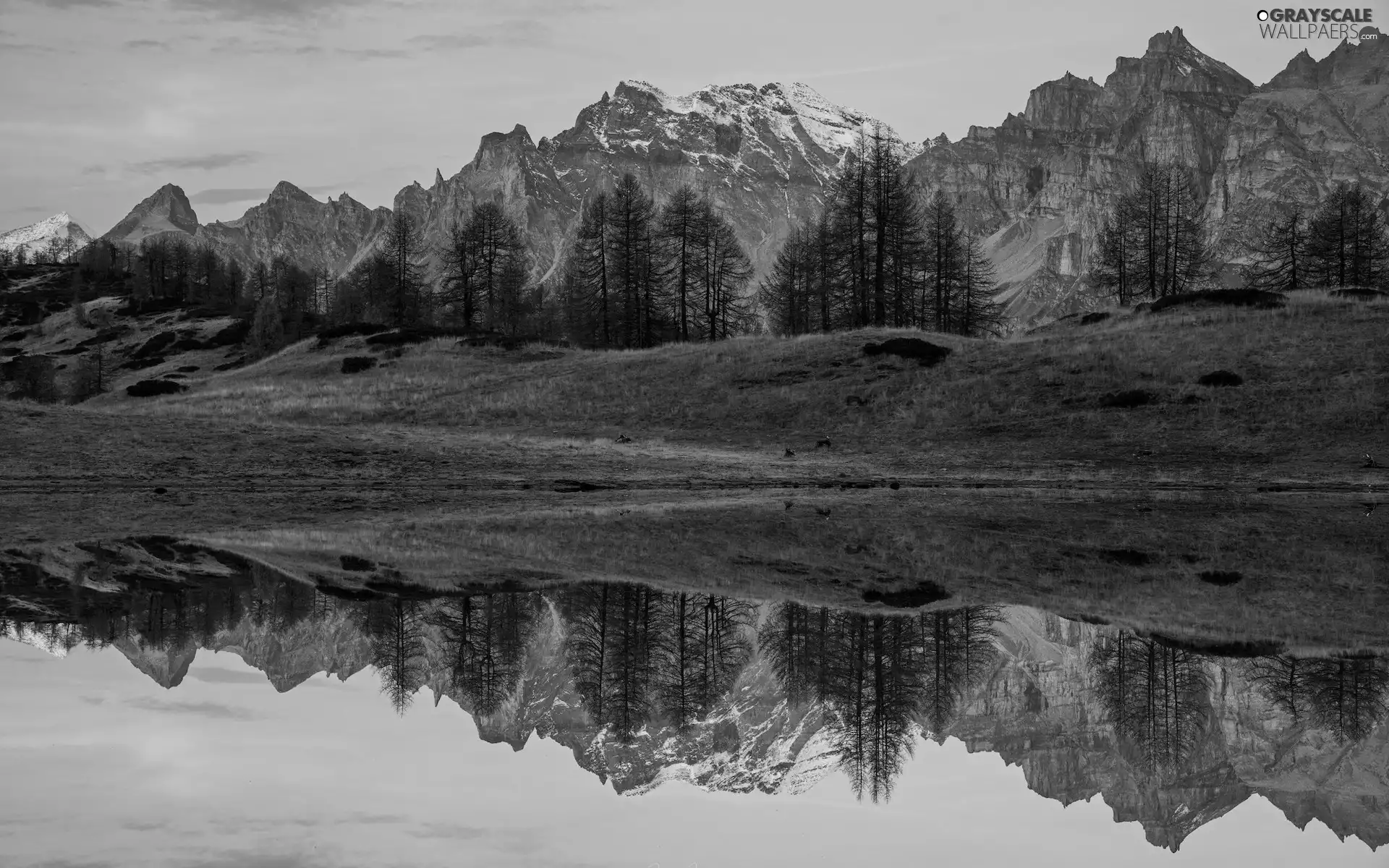 autumn, Italy, trees, viewes, Mountains, Alps, lake, Sunrise, reflection