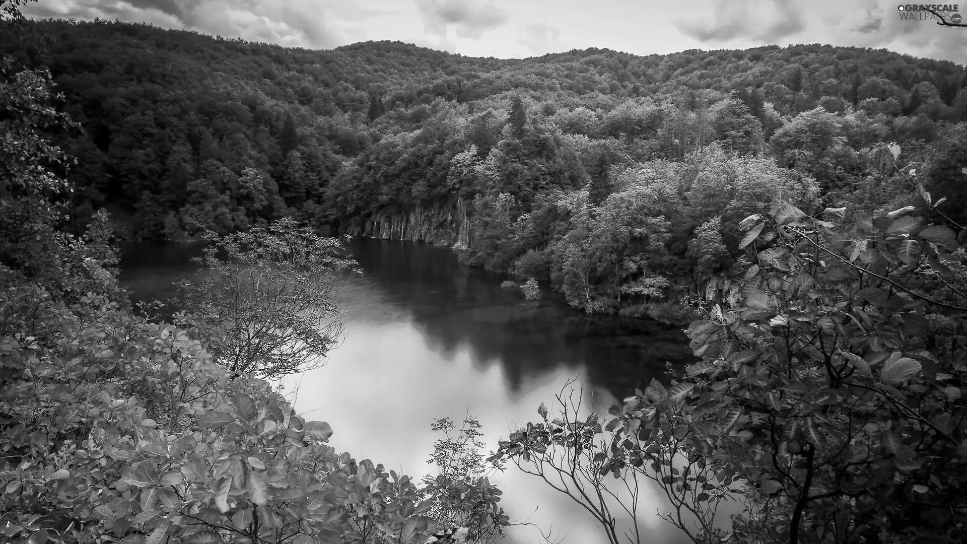 autumn, forest, lake