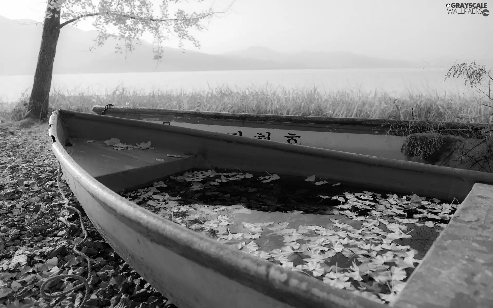 lake, Leaf, autumn, Boats