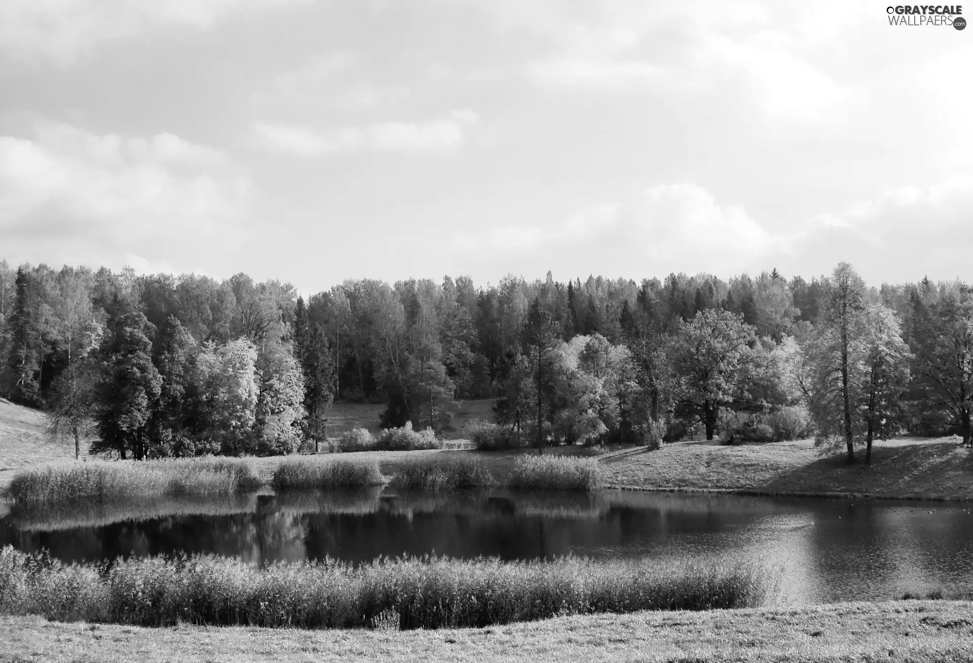 lake, medows, autumn, woods