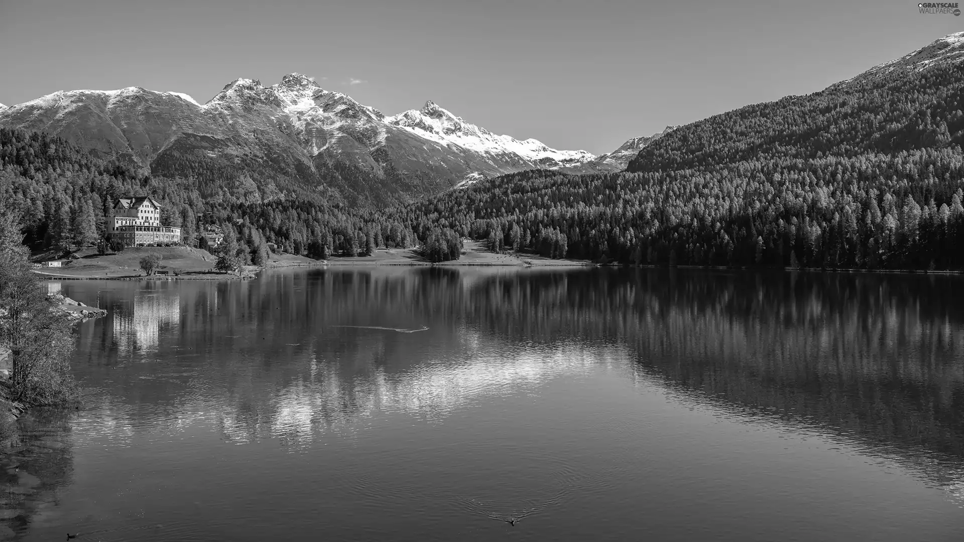 woods, autumn, lake, house, Mountains