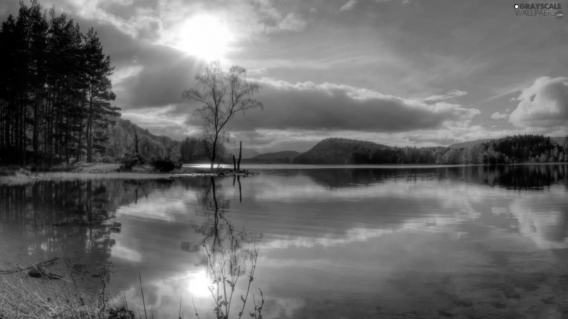 lake, reflection, autumn, forest