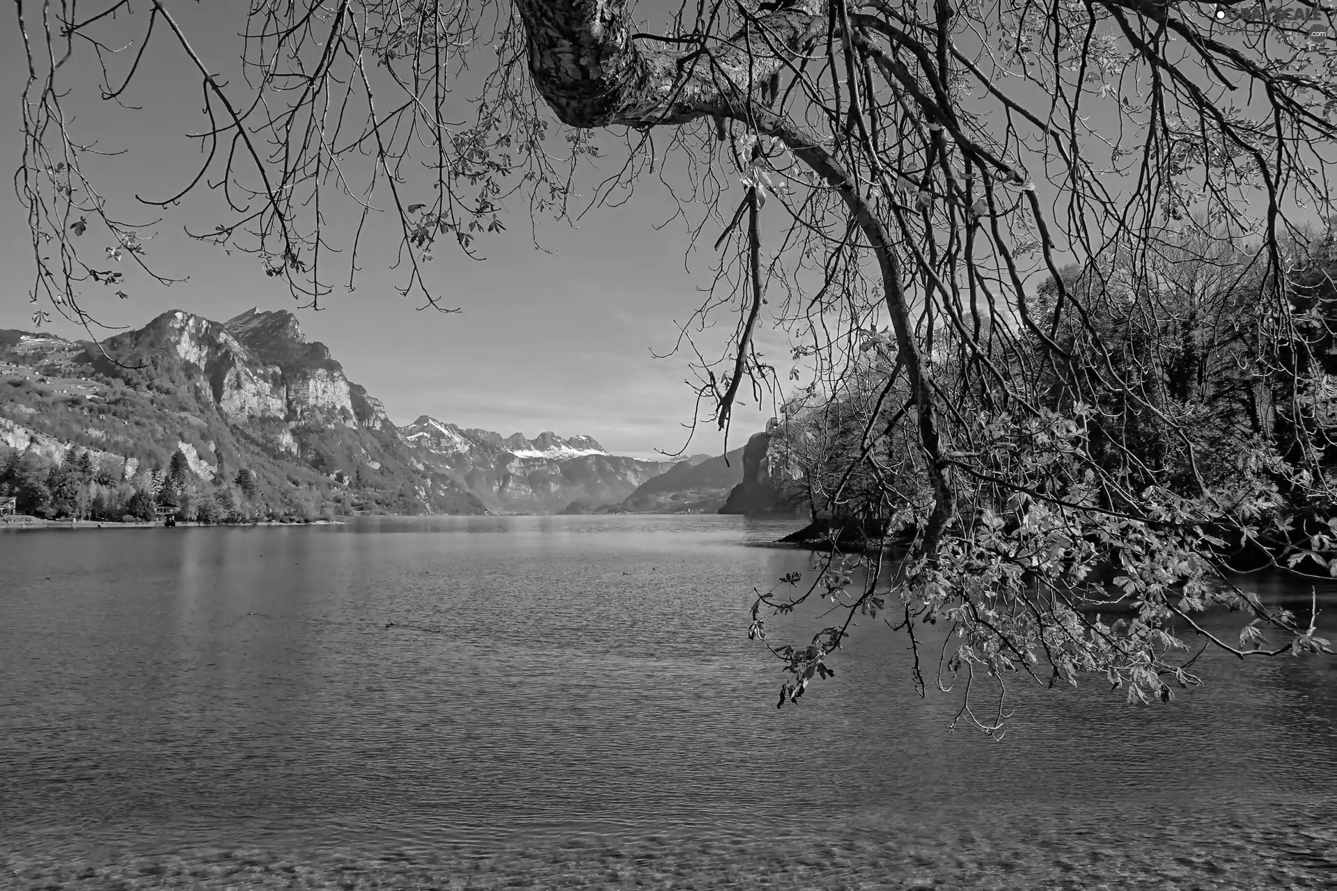 lake, trees, autumn, Mountains