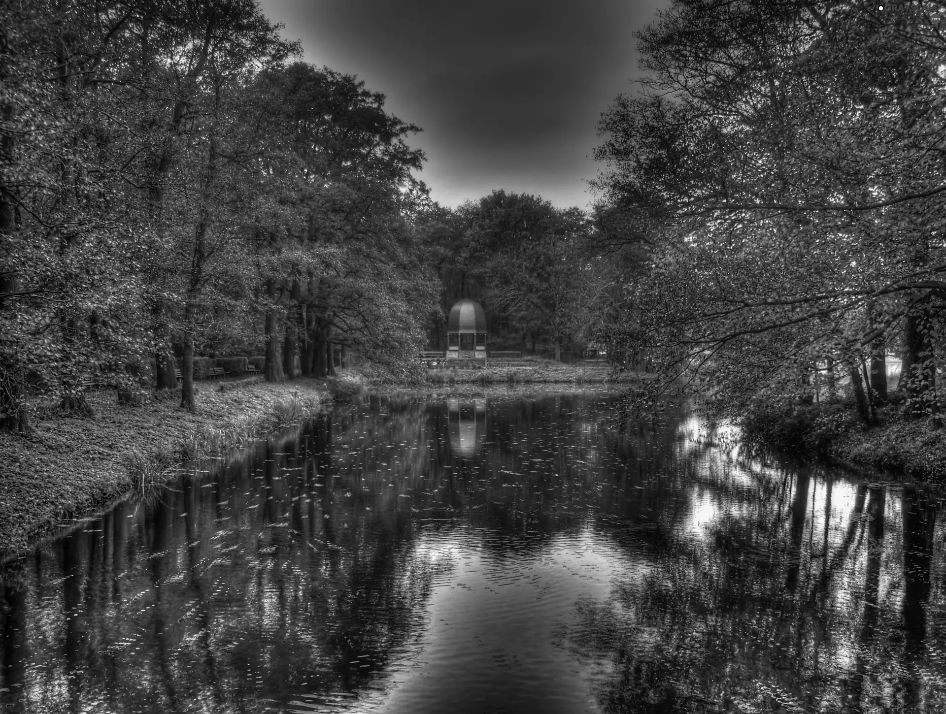lake, viewes, autumn, trees
