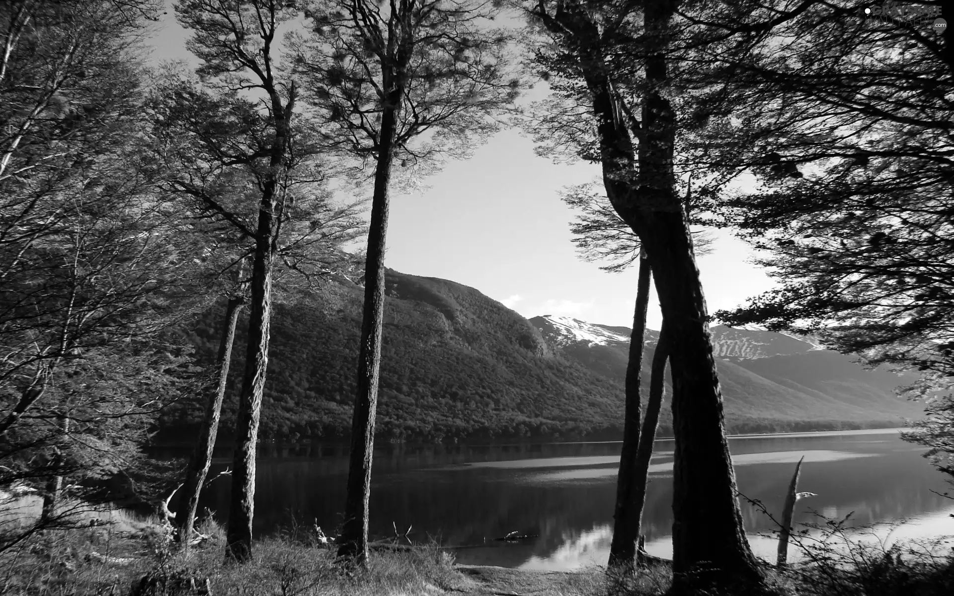 lake, woods, autumn, Mountains