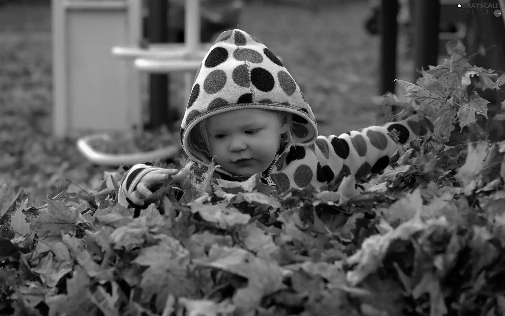 autumn, girl, Leaf