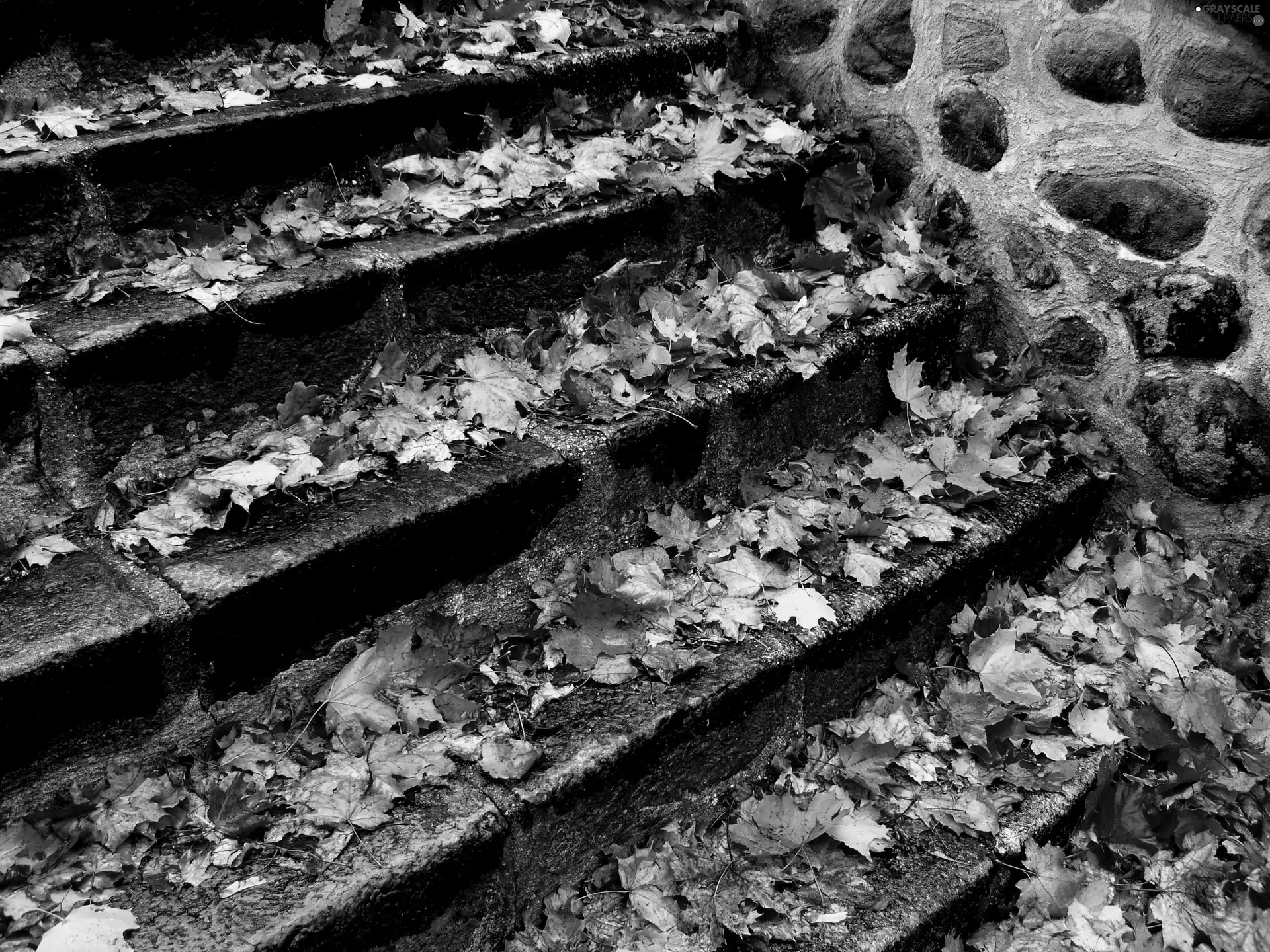 autumn, Stairs, Leaf