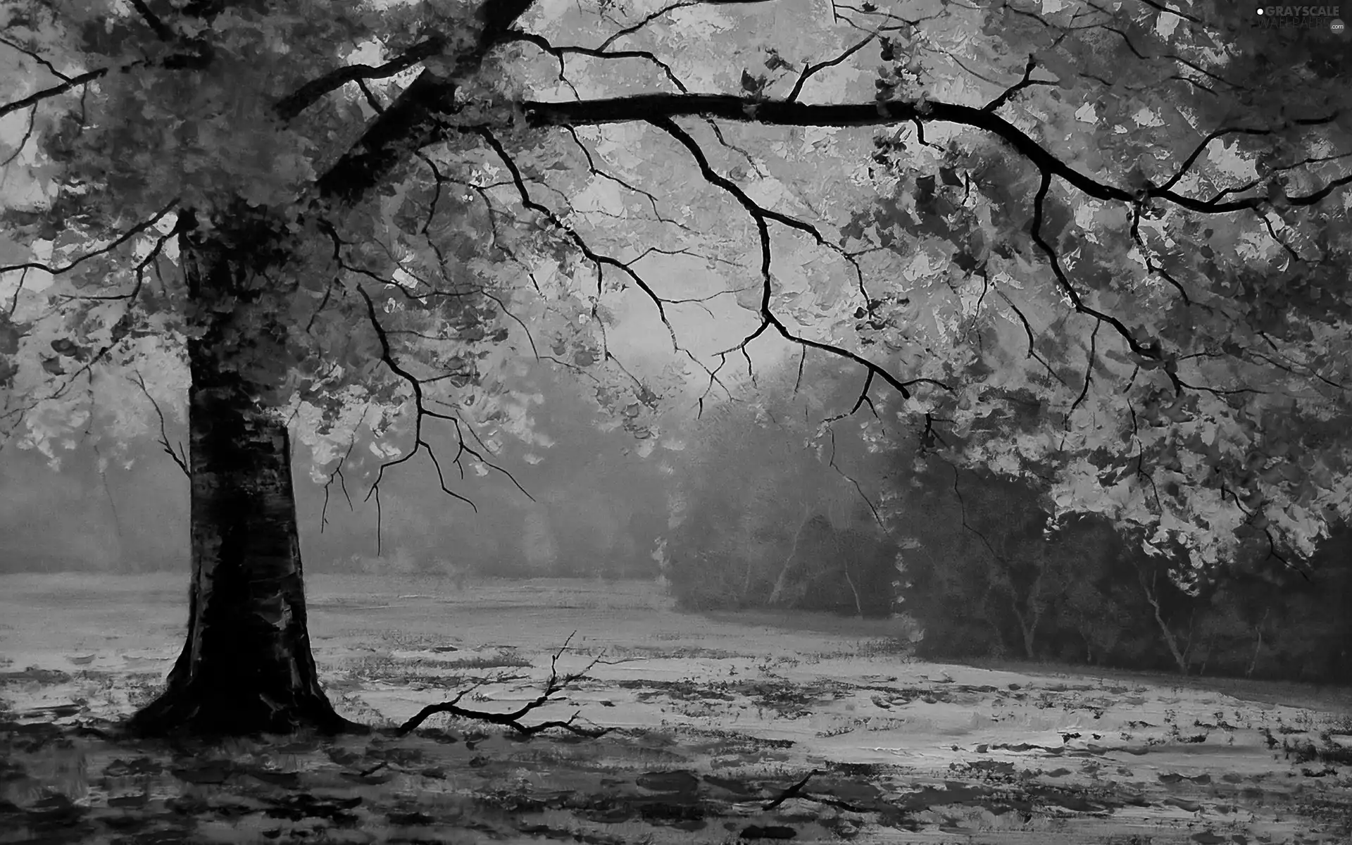 autumn, trees, Leaf