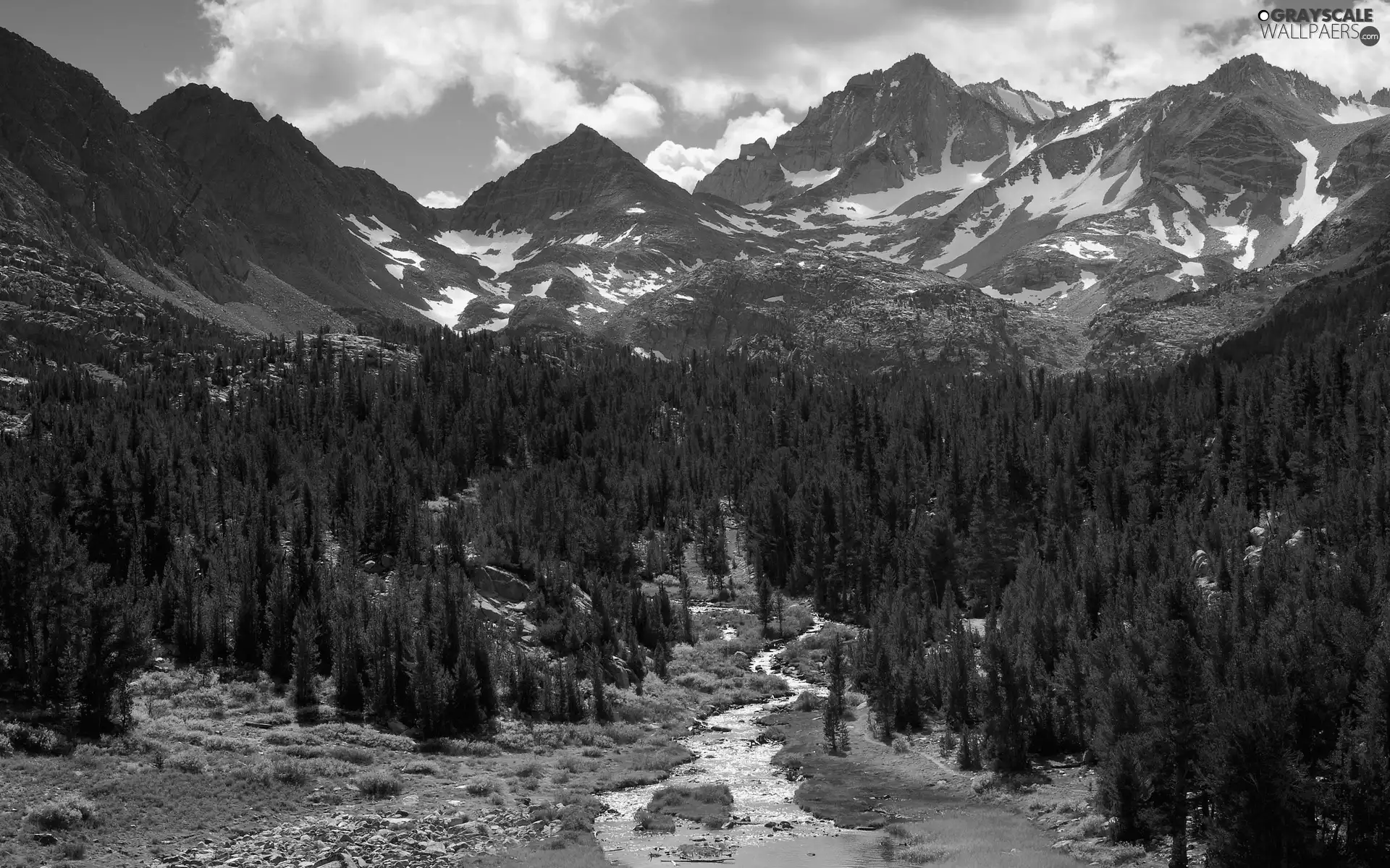 Mountains, stream, autumn, woods