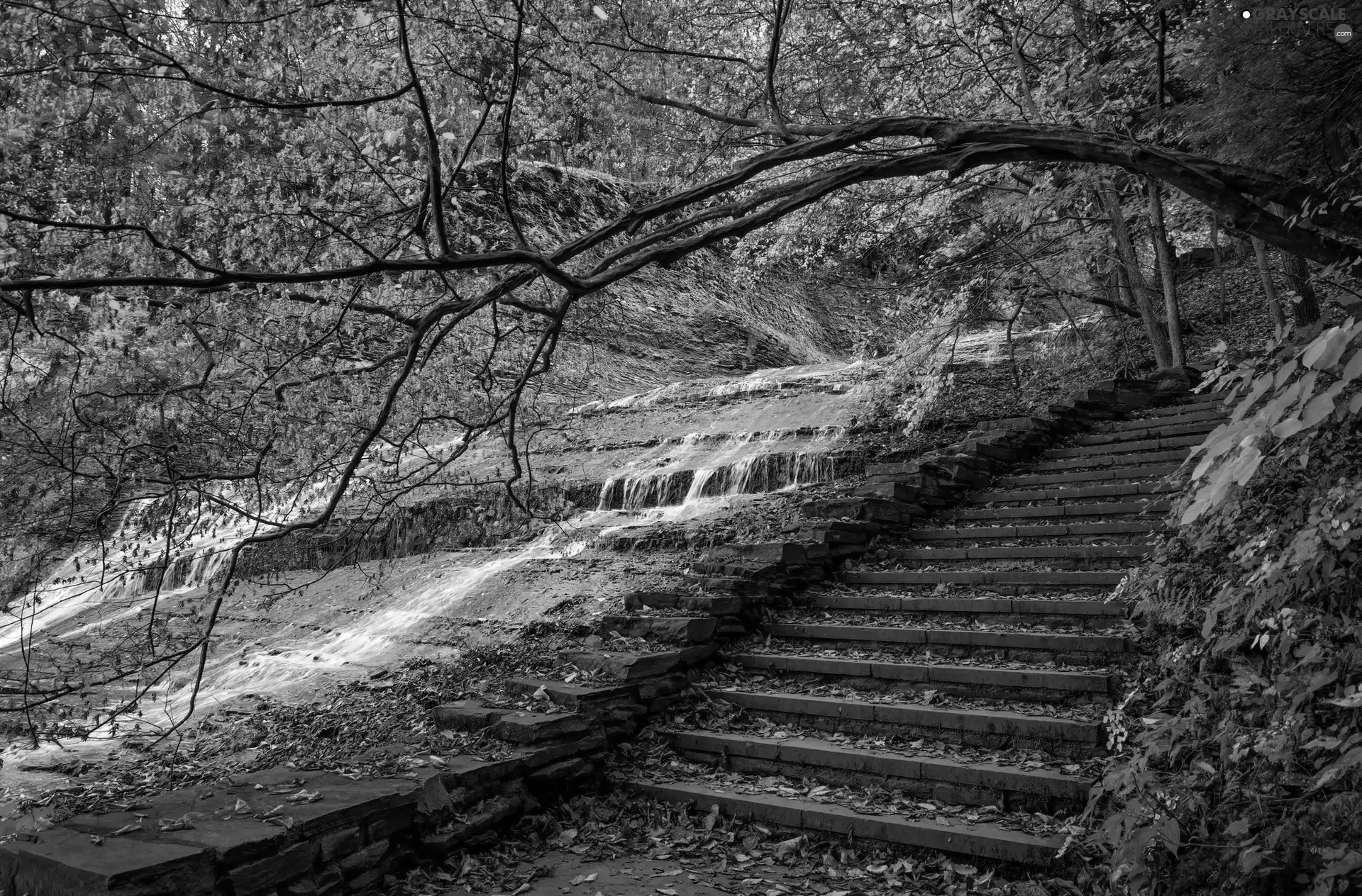 Park, cascade, autumn, Stairs