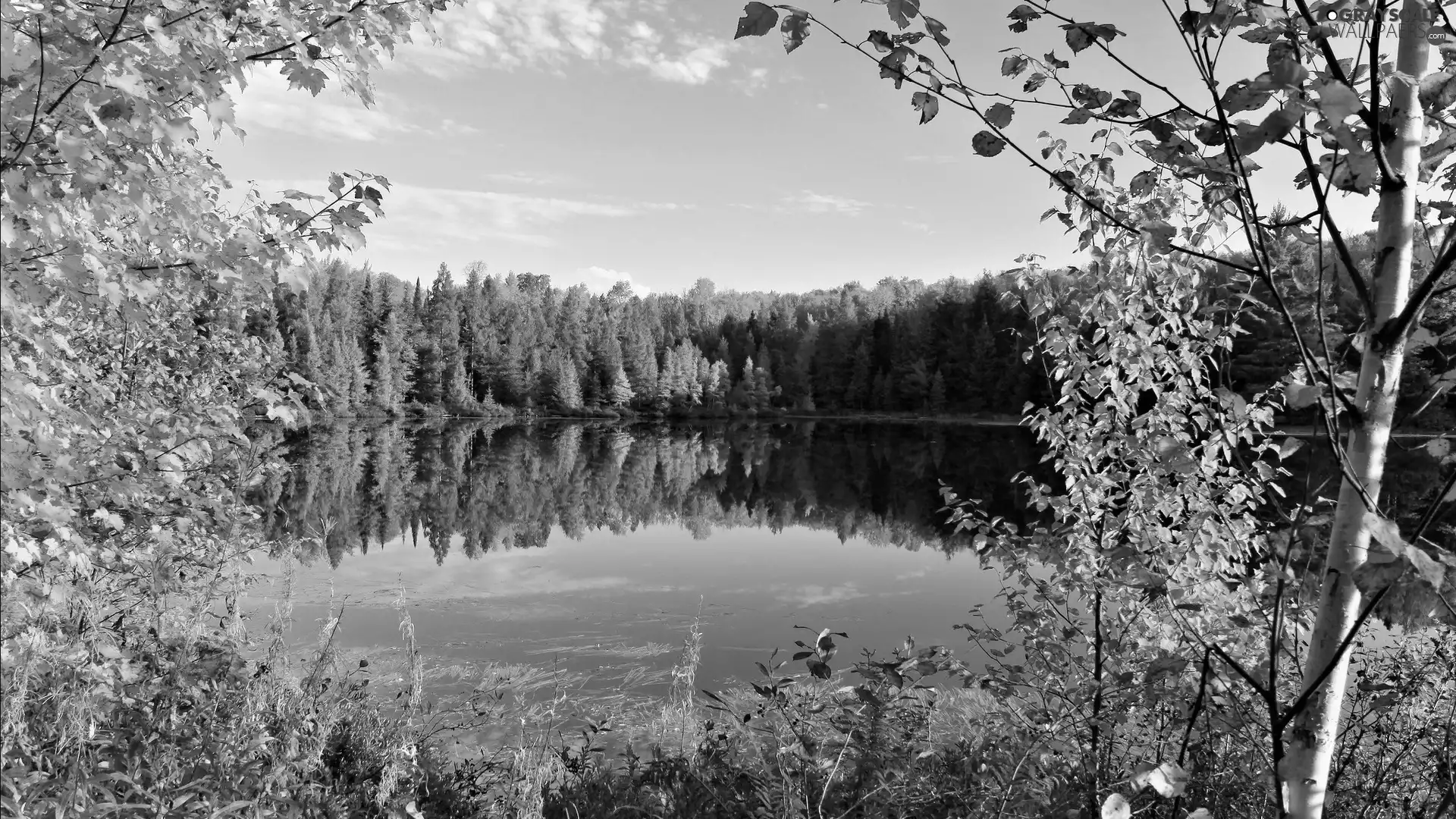 autumn, reflection, trees, viewes, lake