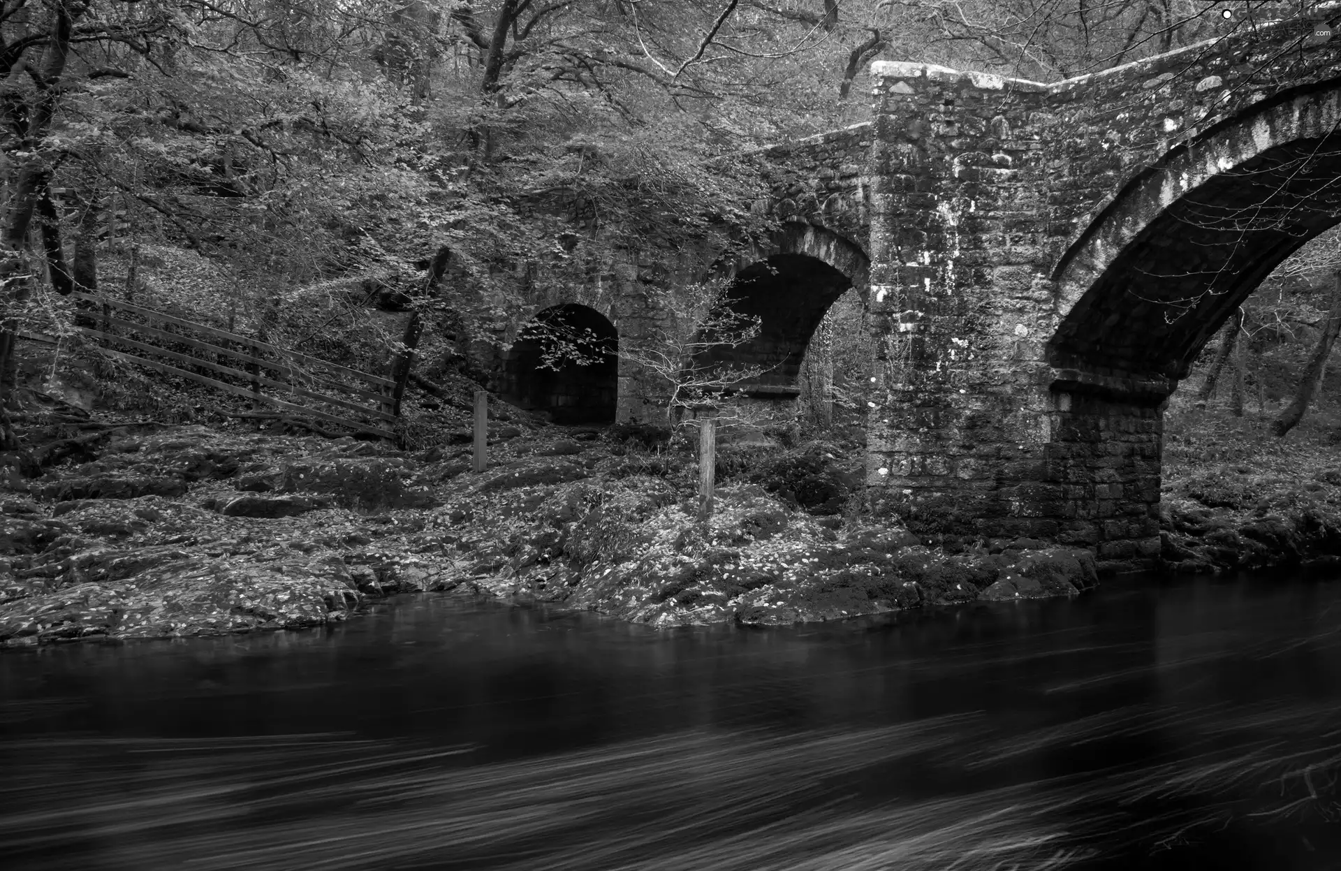 autumn, bridge, River