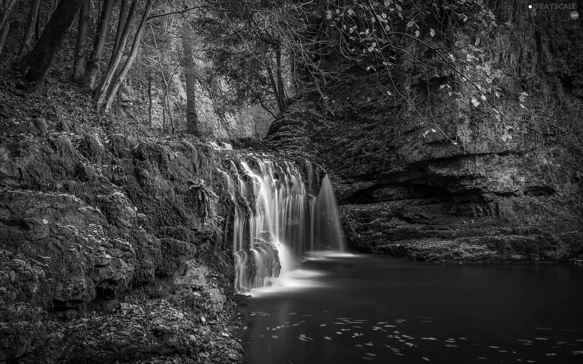 mossy, waterfall, forest, autumn, rocks, River
