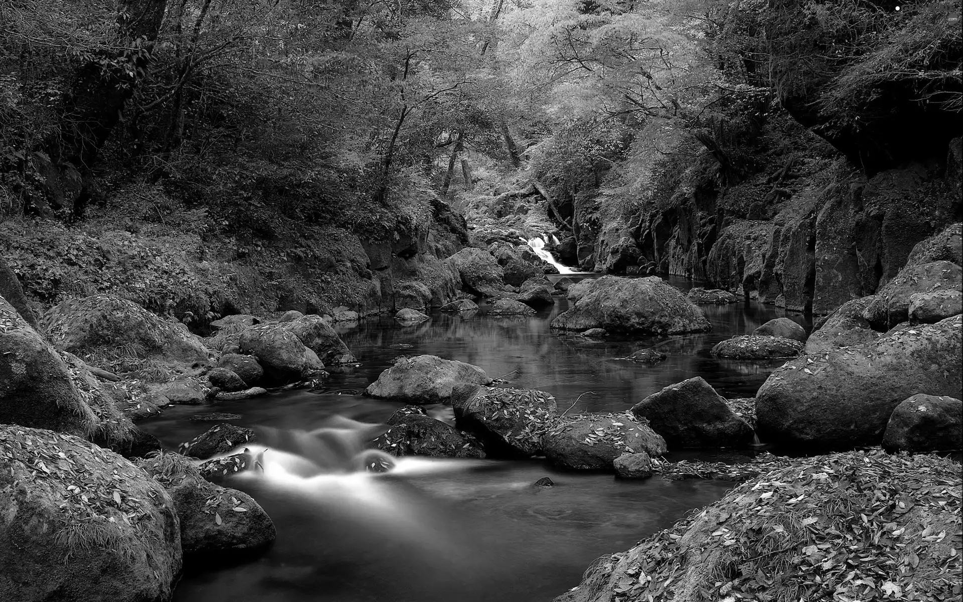 River, forest, autumn, Stones