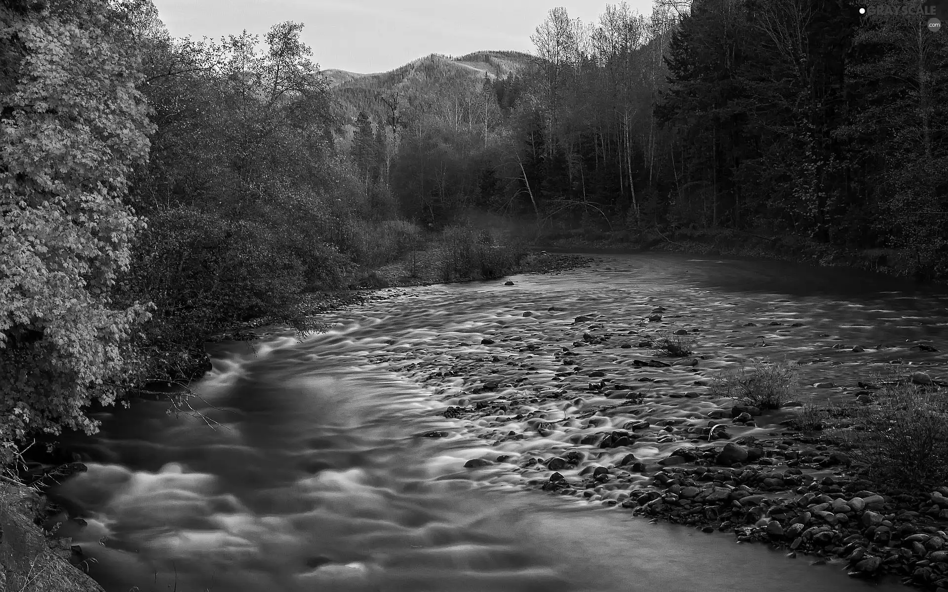 River, Mountains, autumn, woods