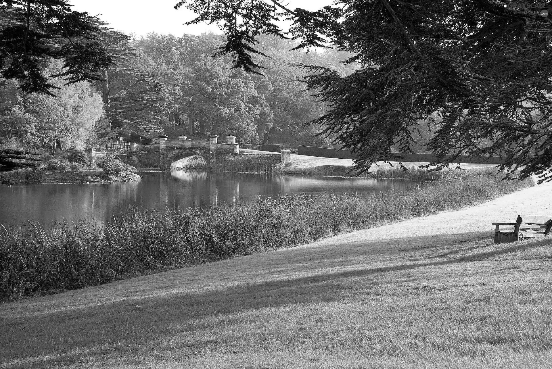 River, Park, autumn, bridges