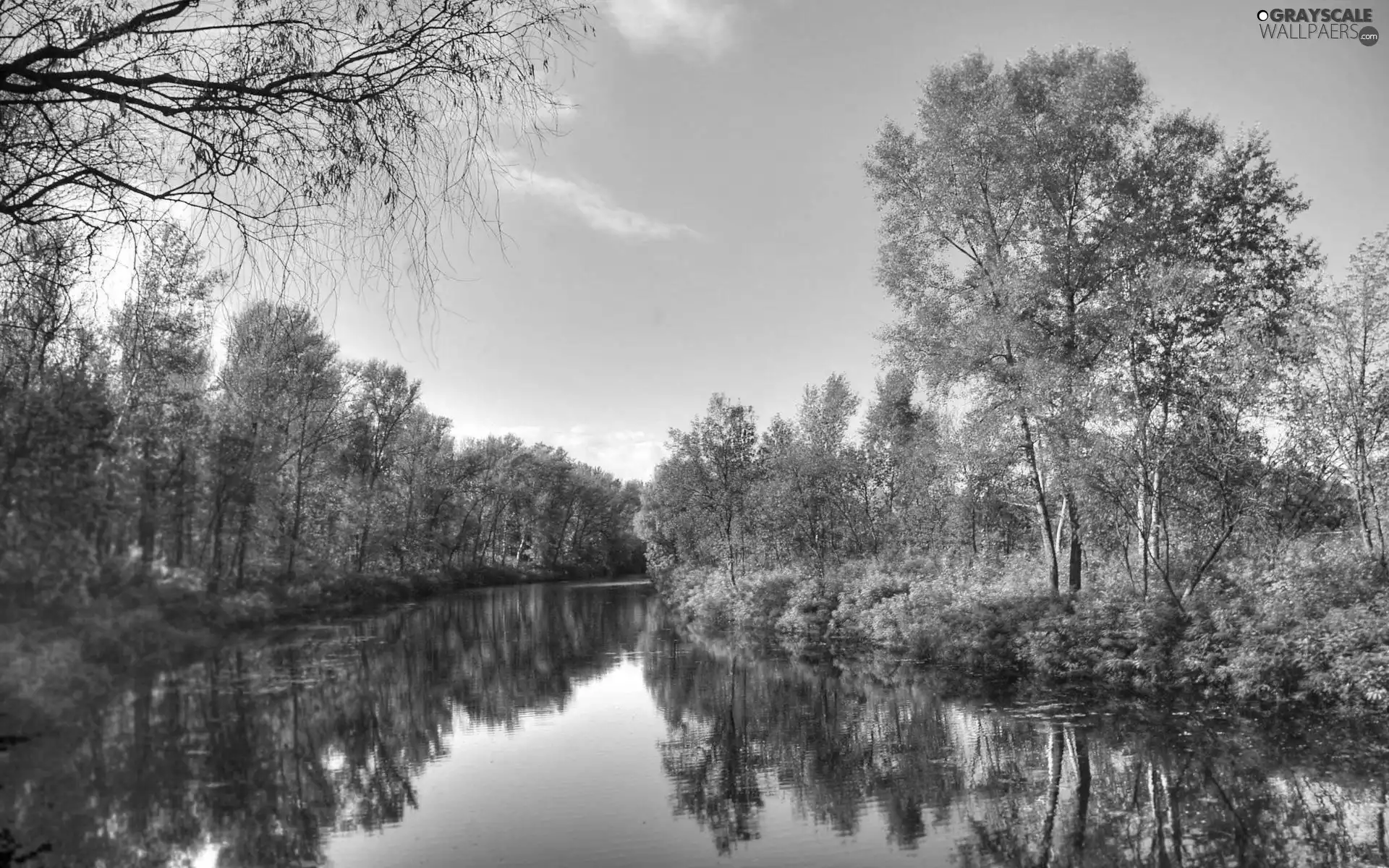 River, viewes, autumn, trees