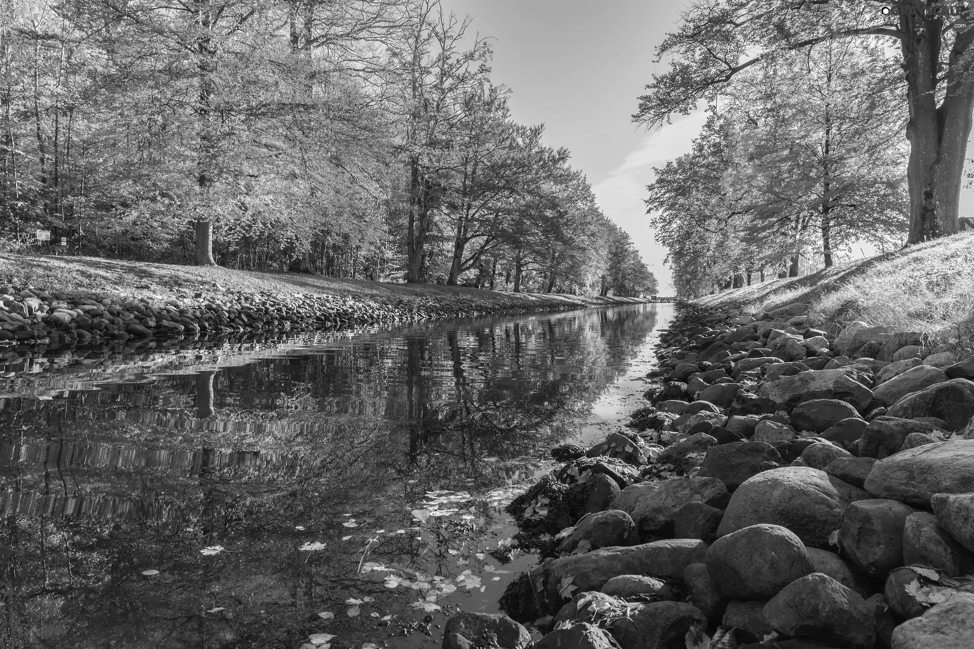 Stones, autumn, trees, viewes, River