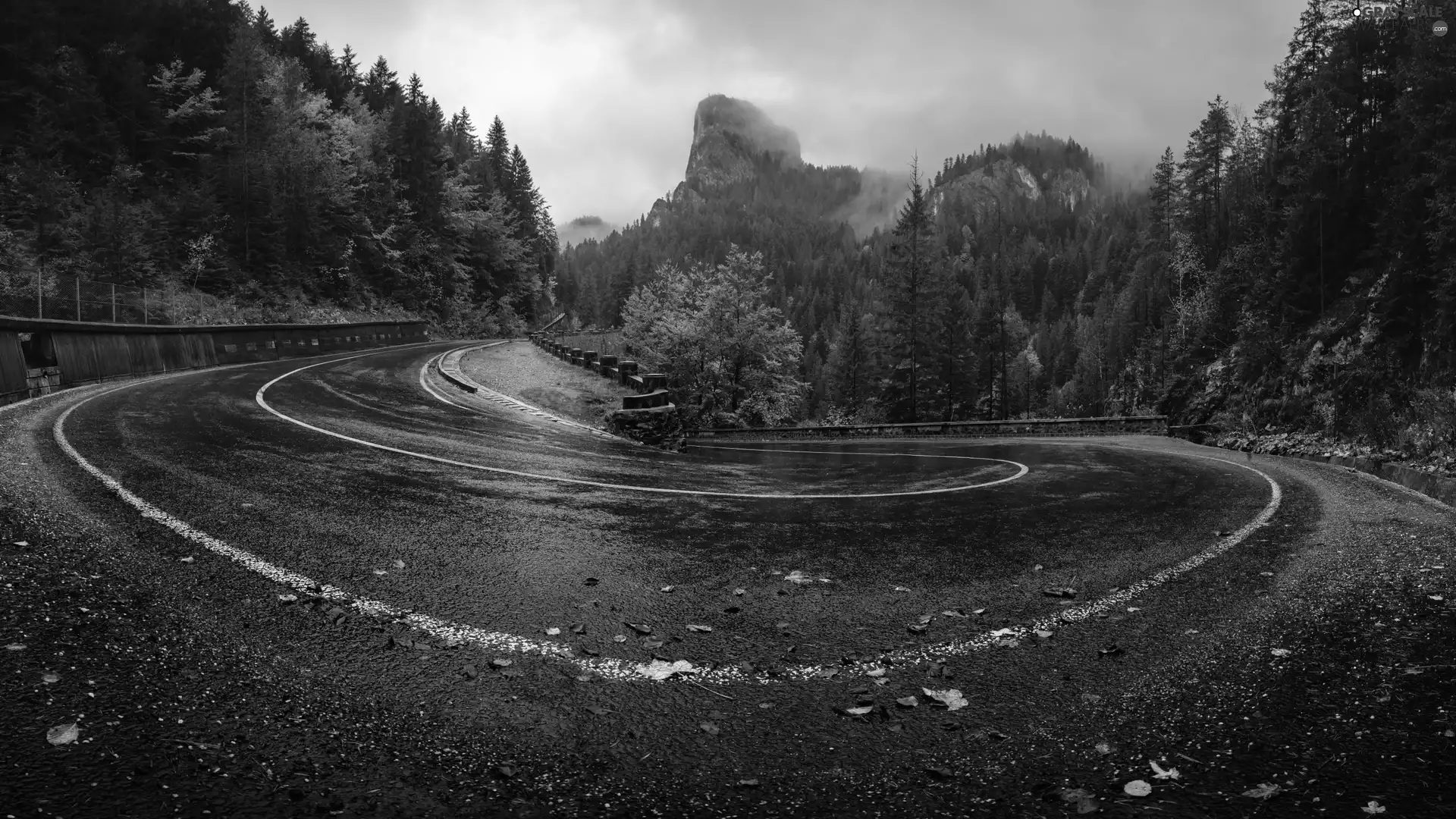 trees, Way, Mountains, autumn, viewes, turn