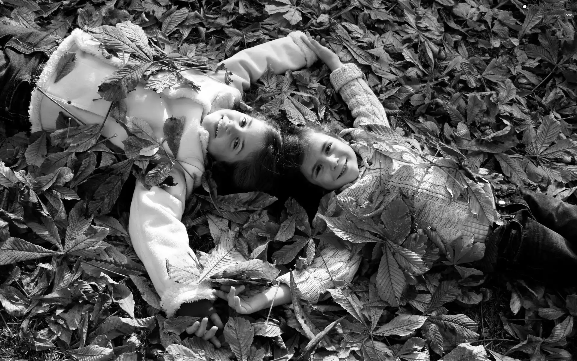 Two, Leaf, autumn, girls