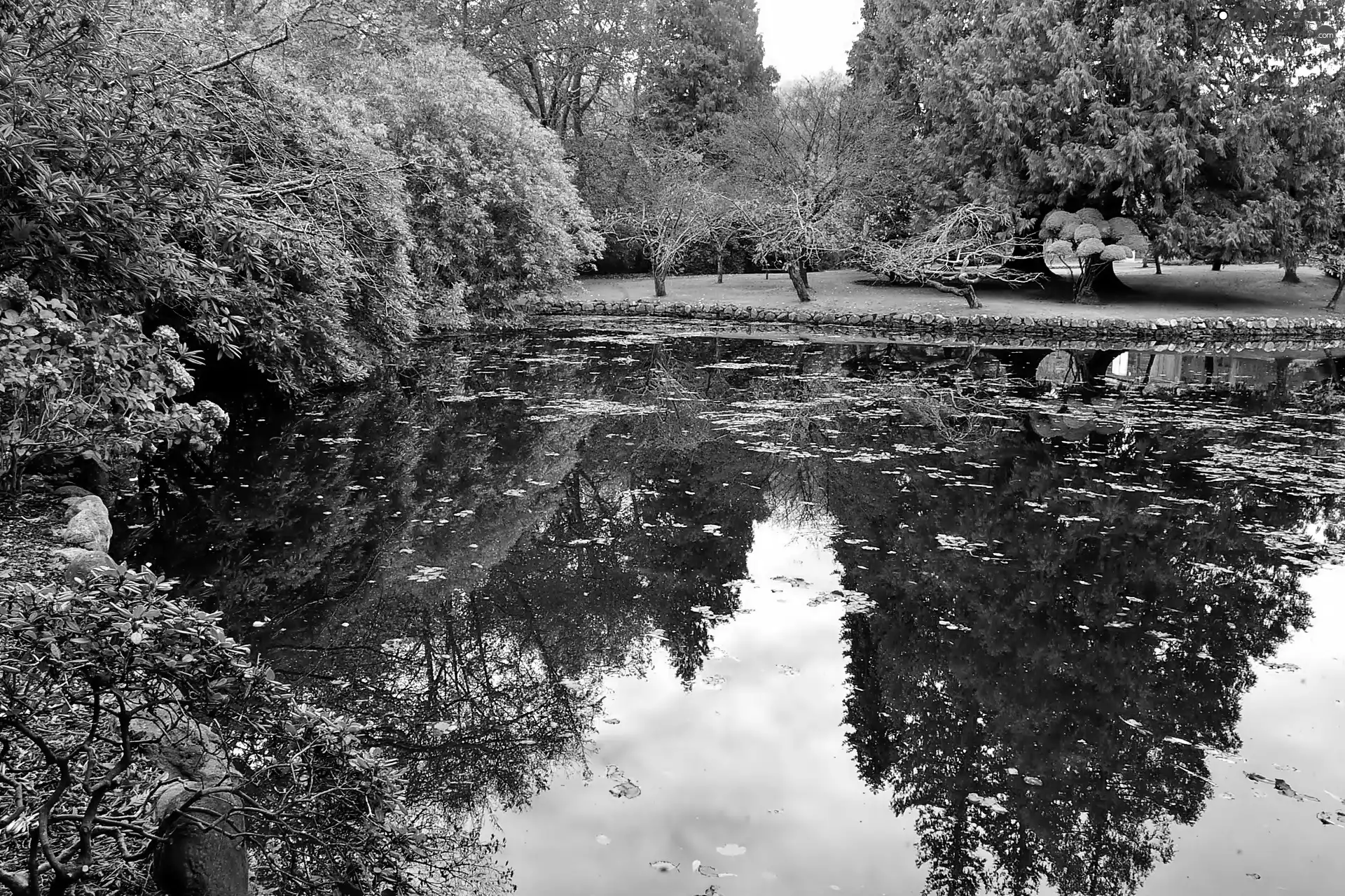 autumn, victoria, Hatley, Pond - car, Park