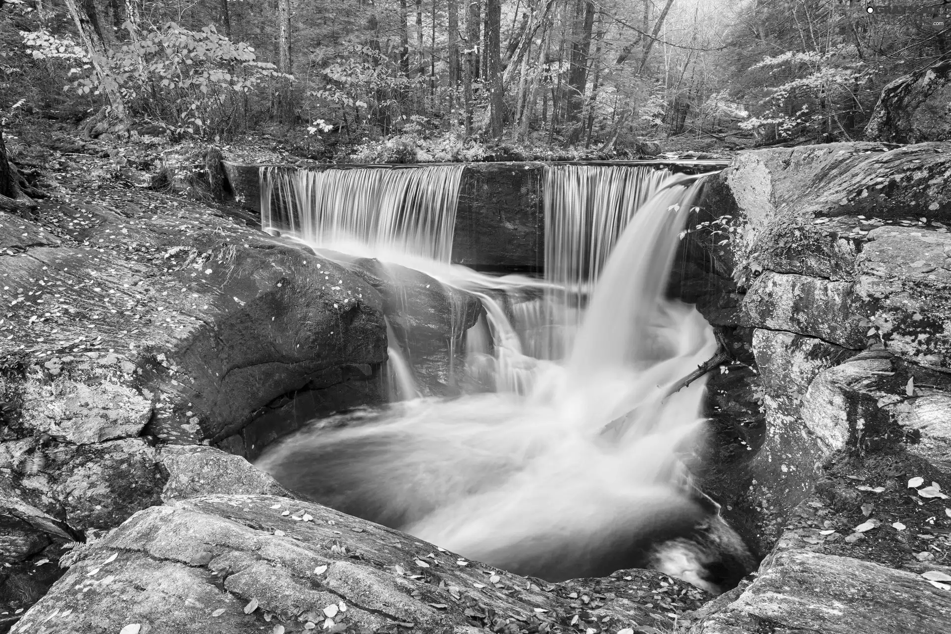 waterfall, forest, autumn, rocks