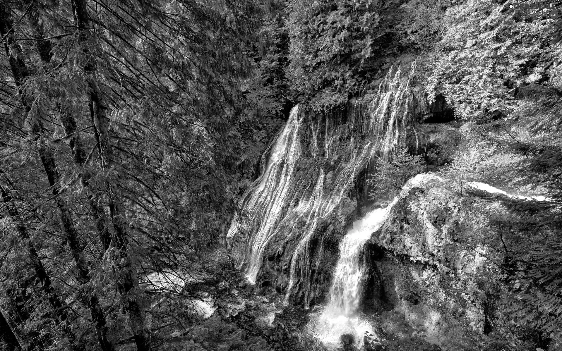 autumn, forest, waterfall