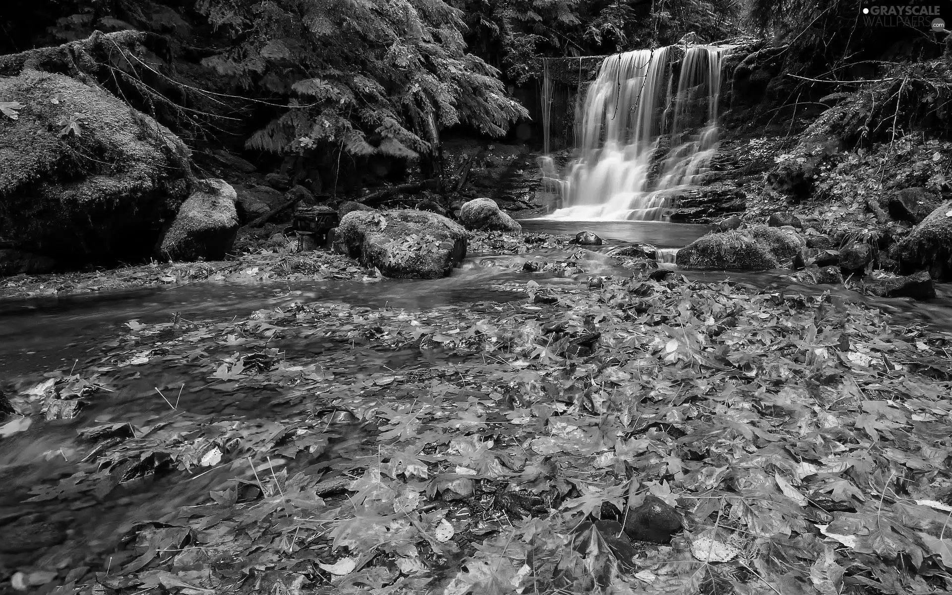 waterfall, Leaf, autumn, forest