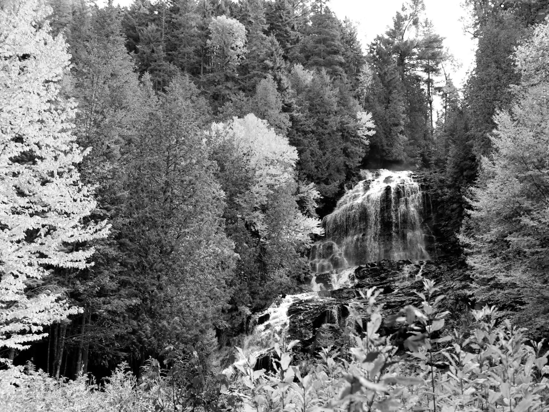 waterfall, viewes, autumn, trees