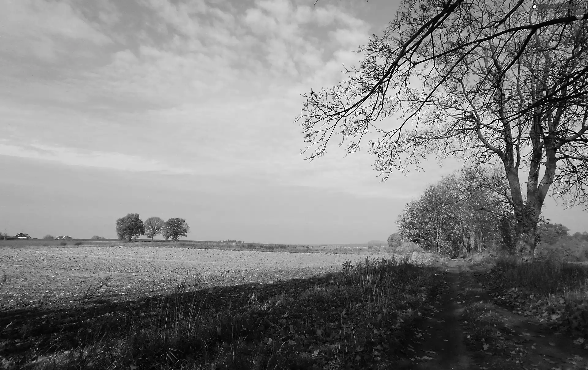 autumn, Field, Way