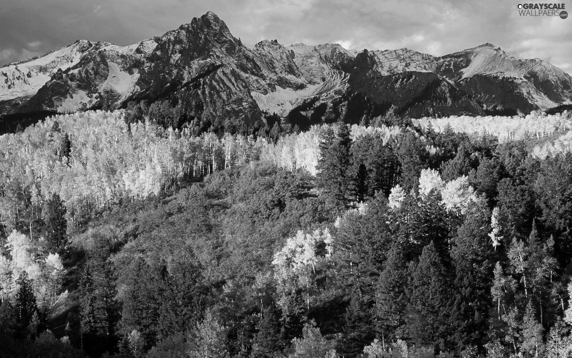 autumn, Mountains, woods