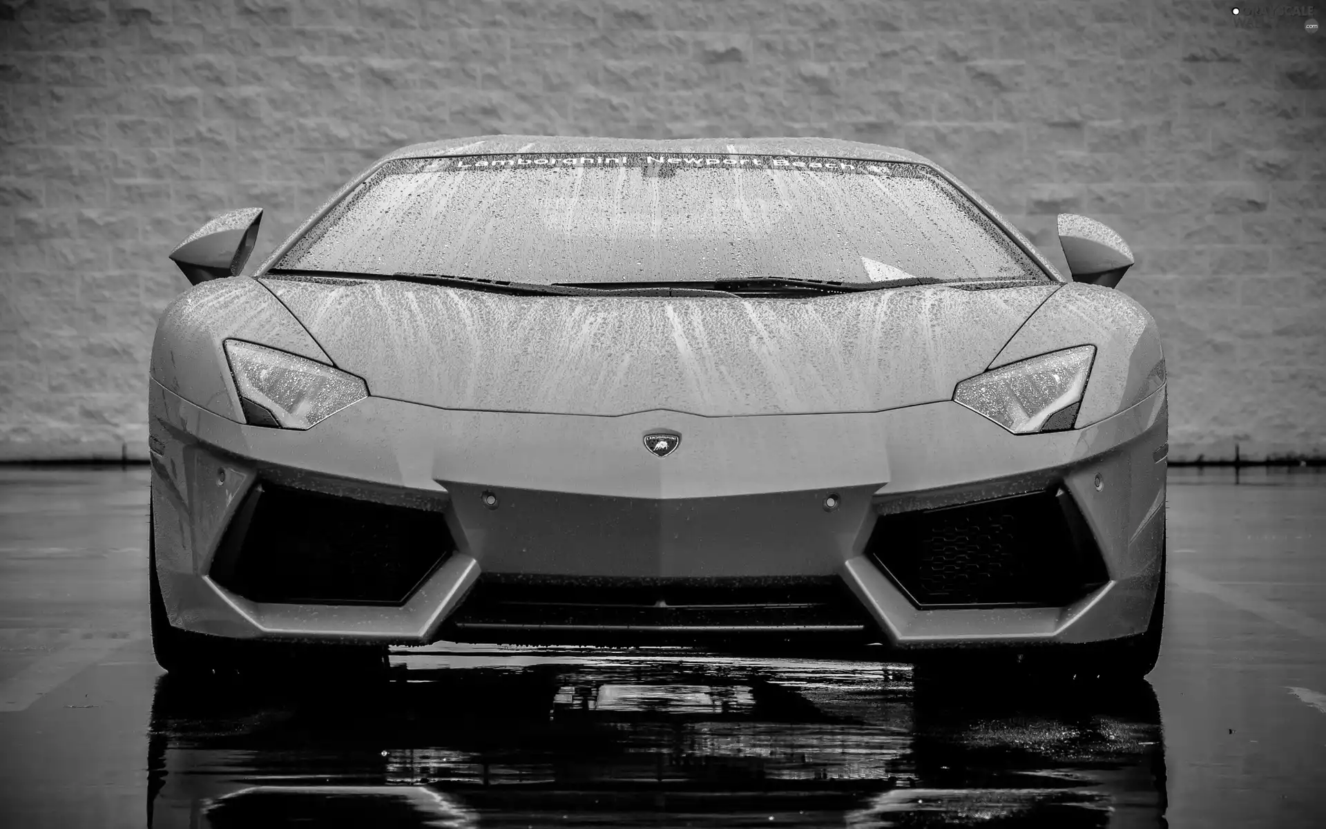 Front, Lamborghini Aventador