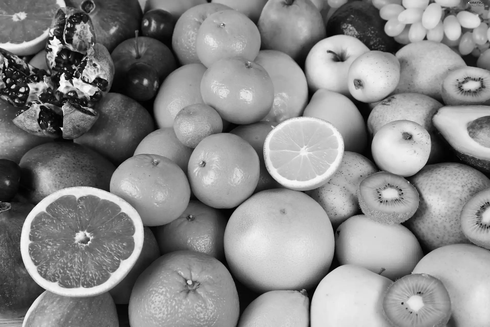 Fruits, different, orange, lemons, grape, grape-fruit, avocado, navy blue, kiwi