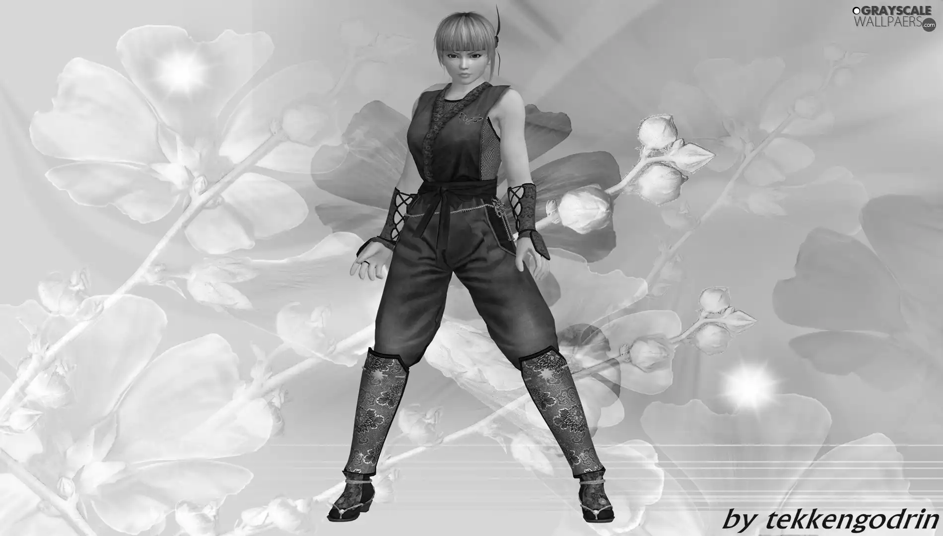 graphics, Dead Or Alive 5, Ayane