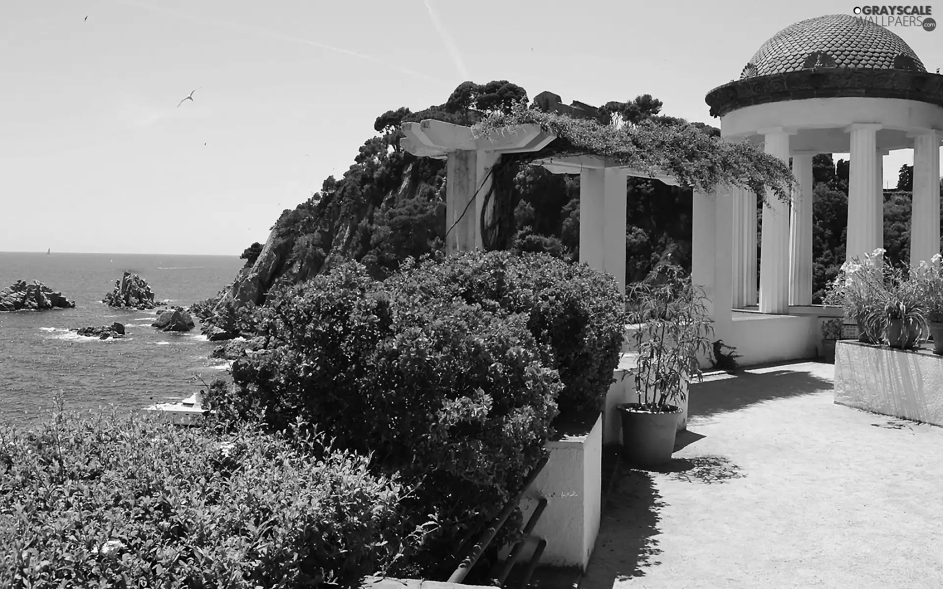 column, rhododendron, arbour, sea