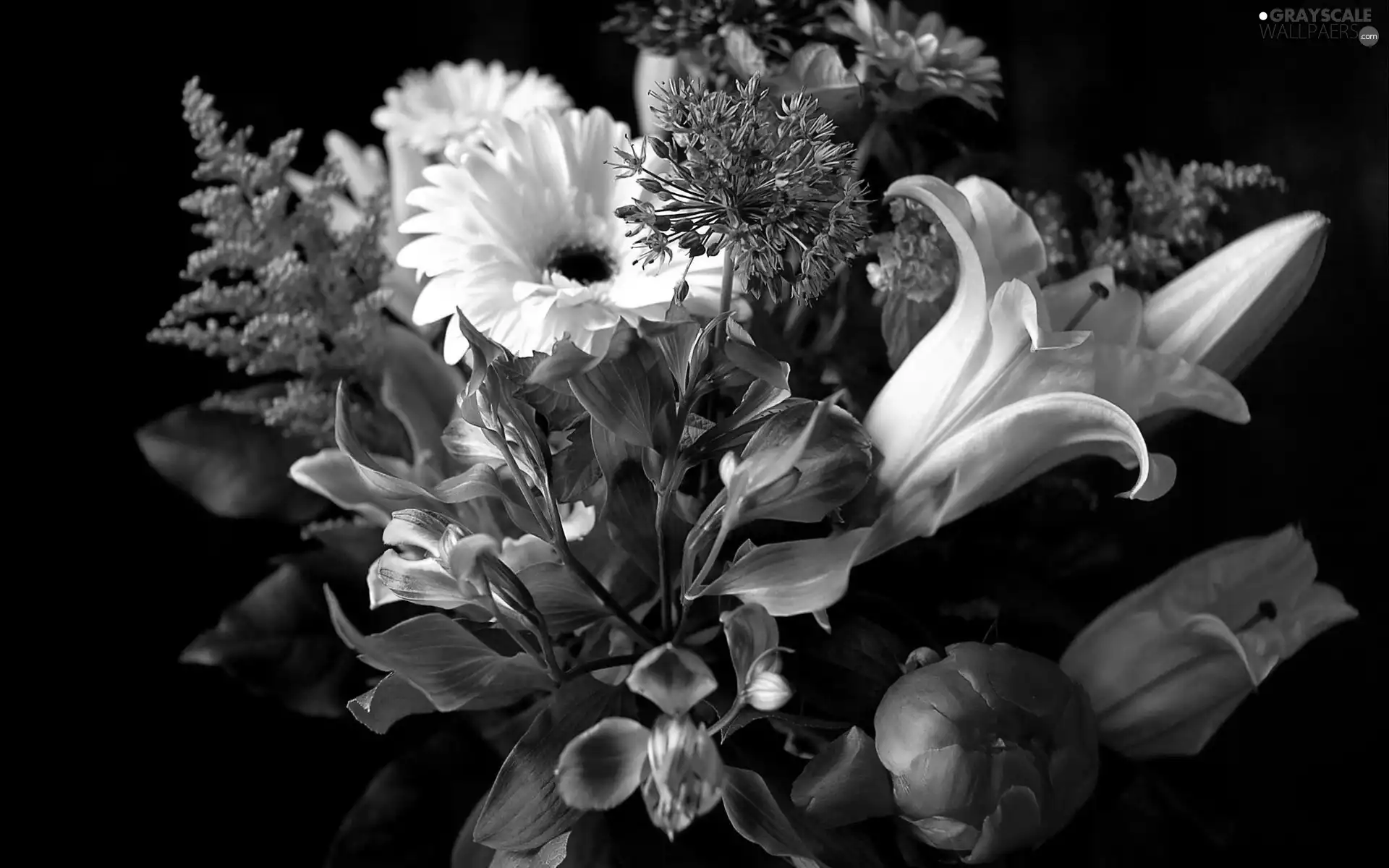 bouquet, dark, background, flowers