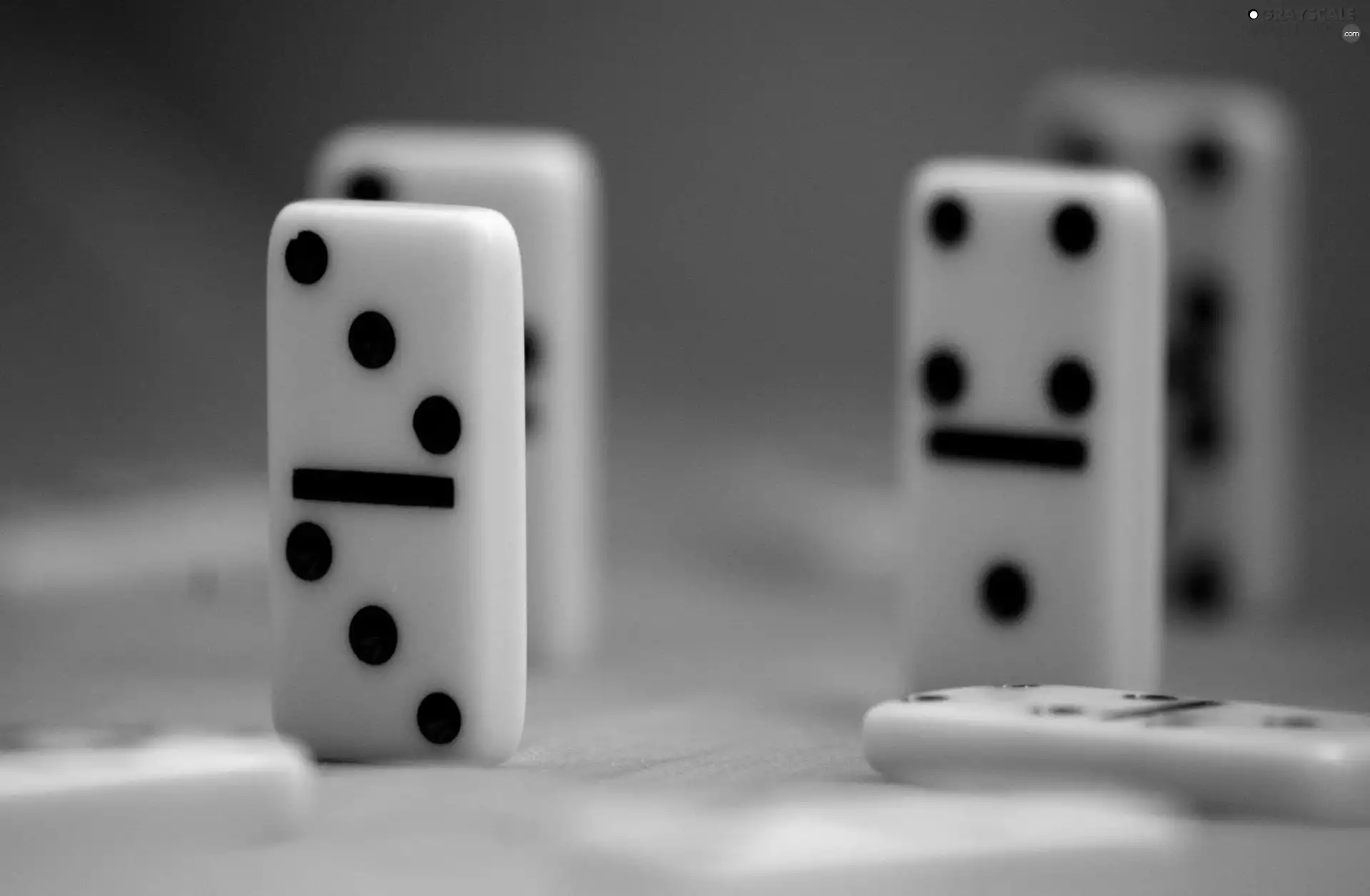 background, domino, Brown