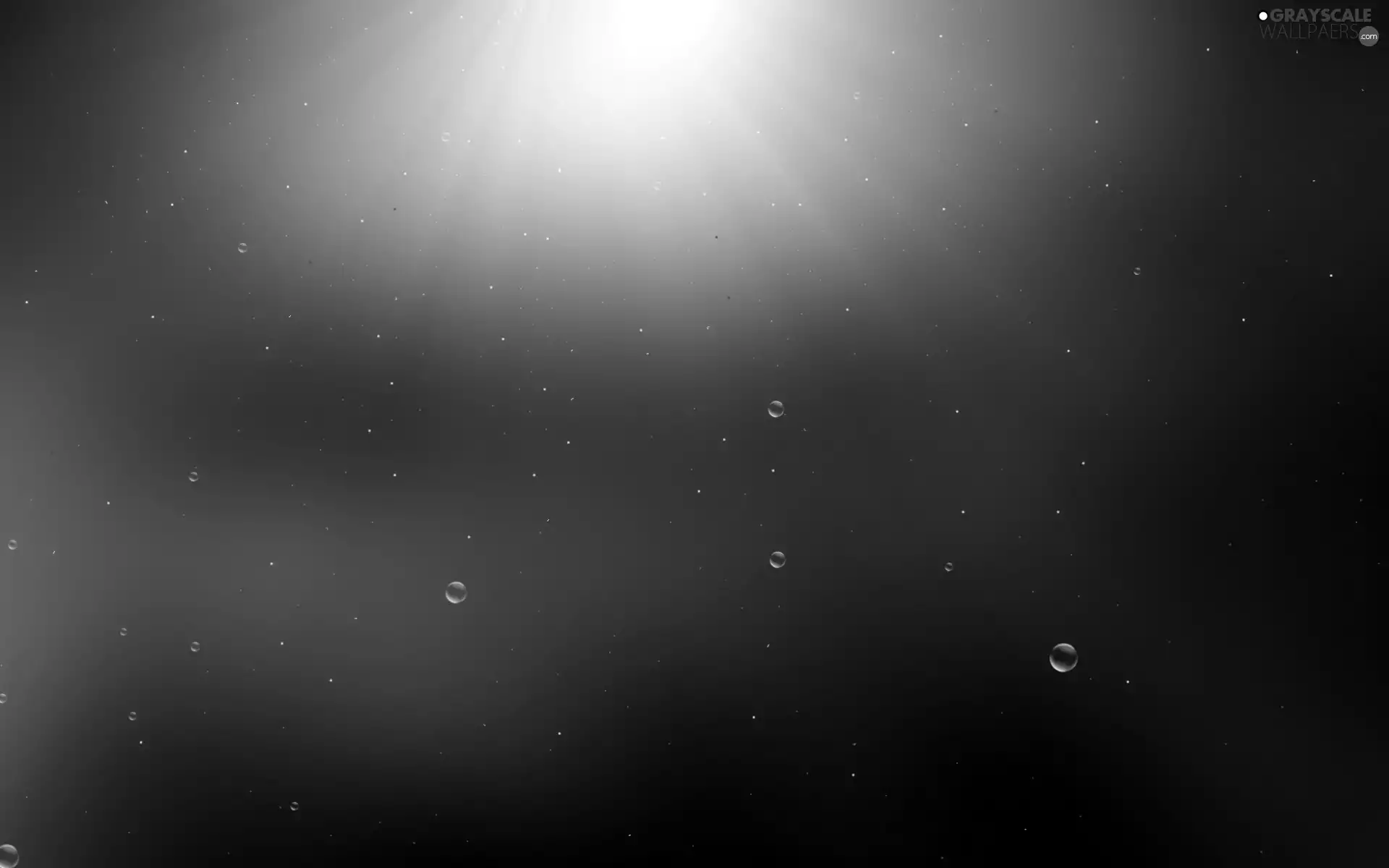 background, Pink, bubbles